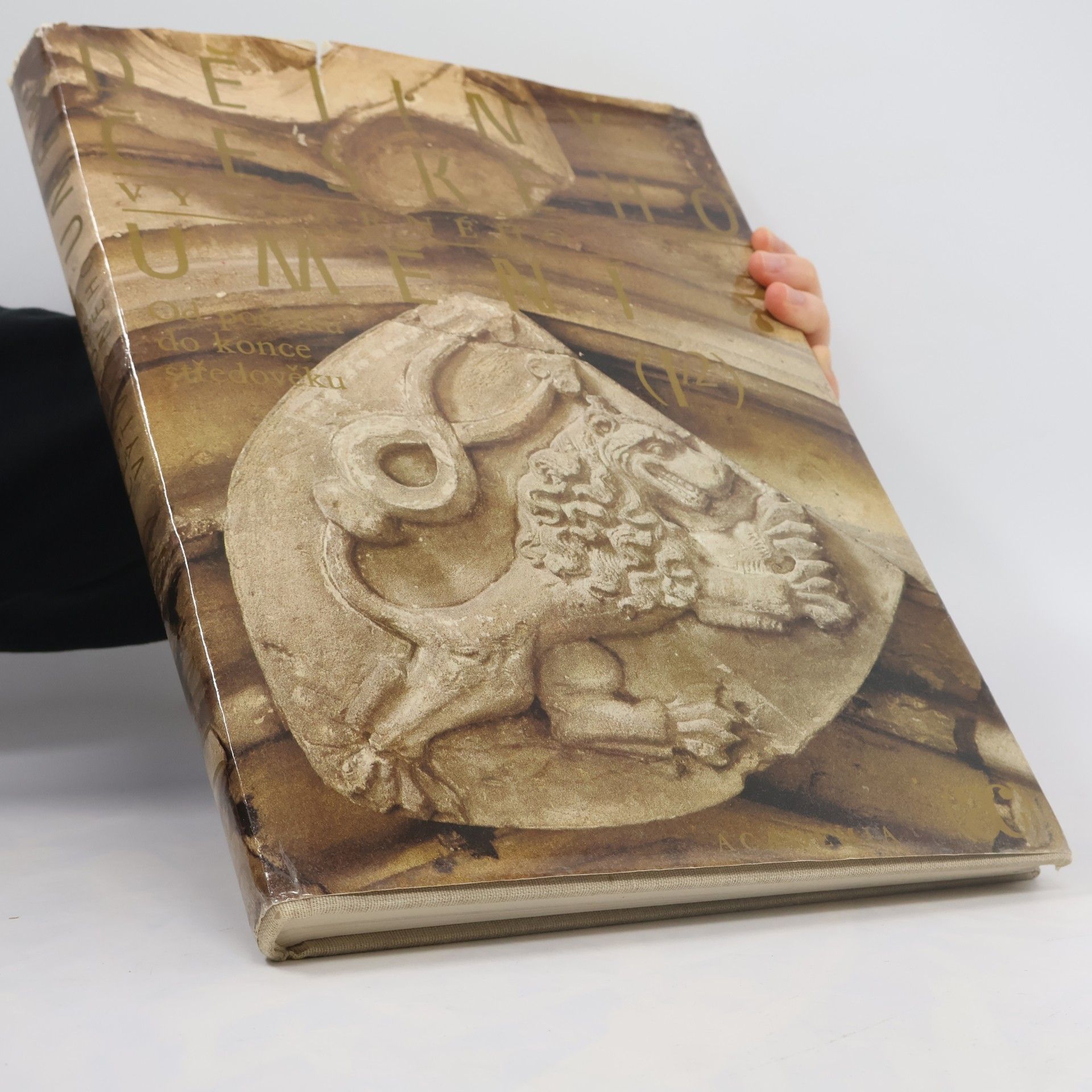 Autorenkollektiv Dějiny českého výtvarného umění I/2