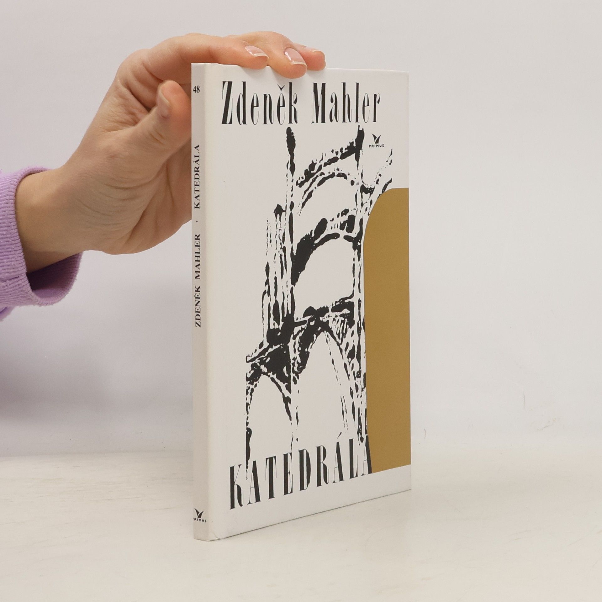 Zdeněk Mahler Katedrála