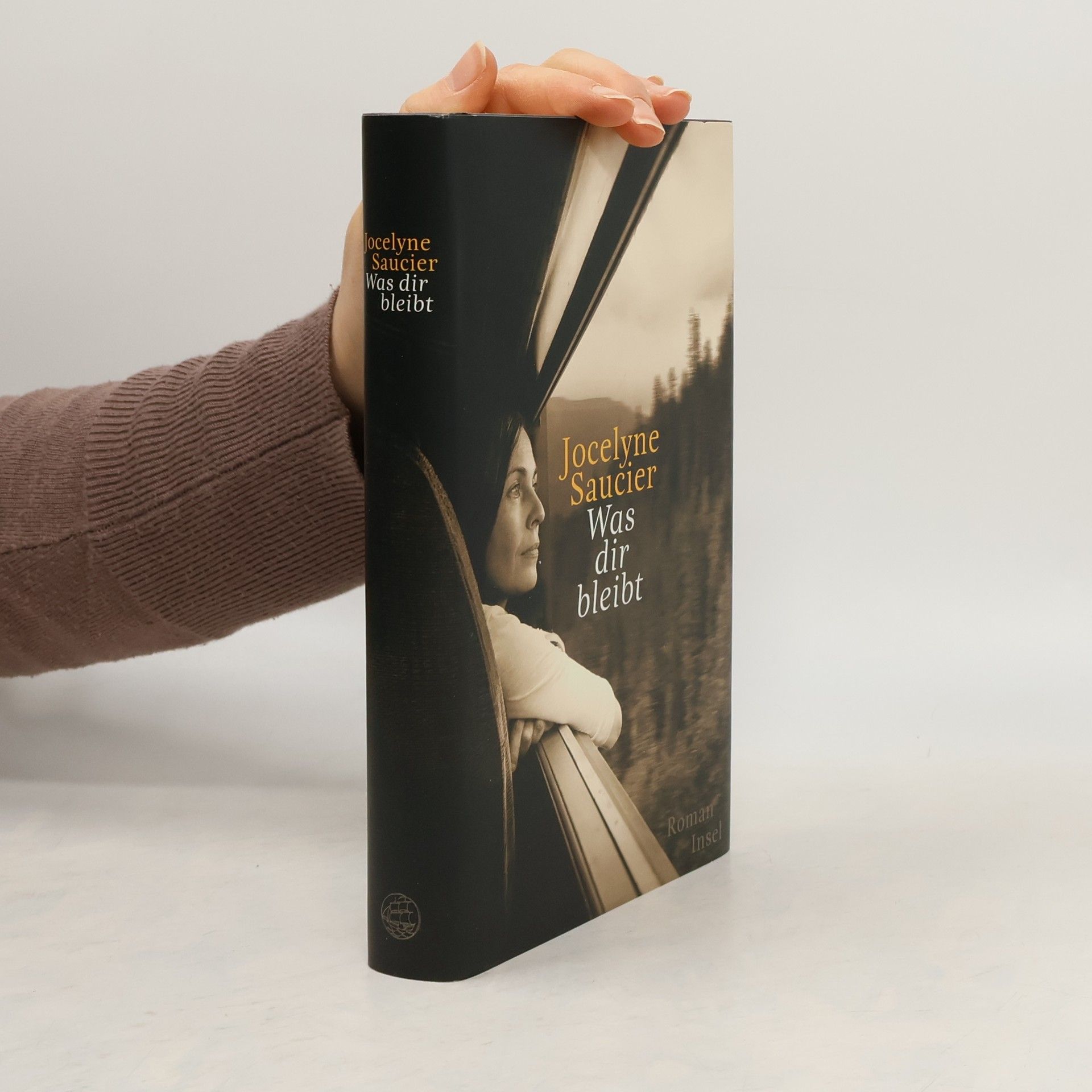Jocelyne Saucier Was dir bleibt