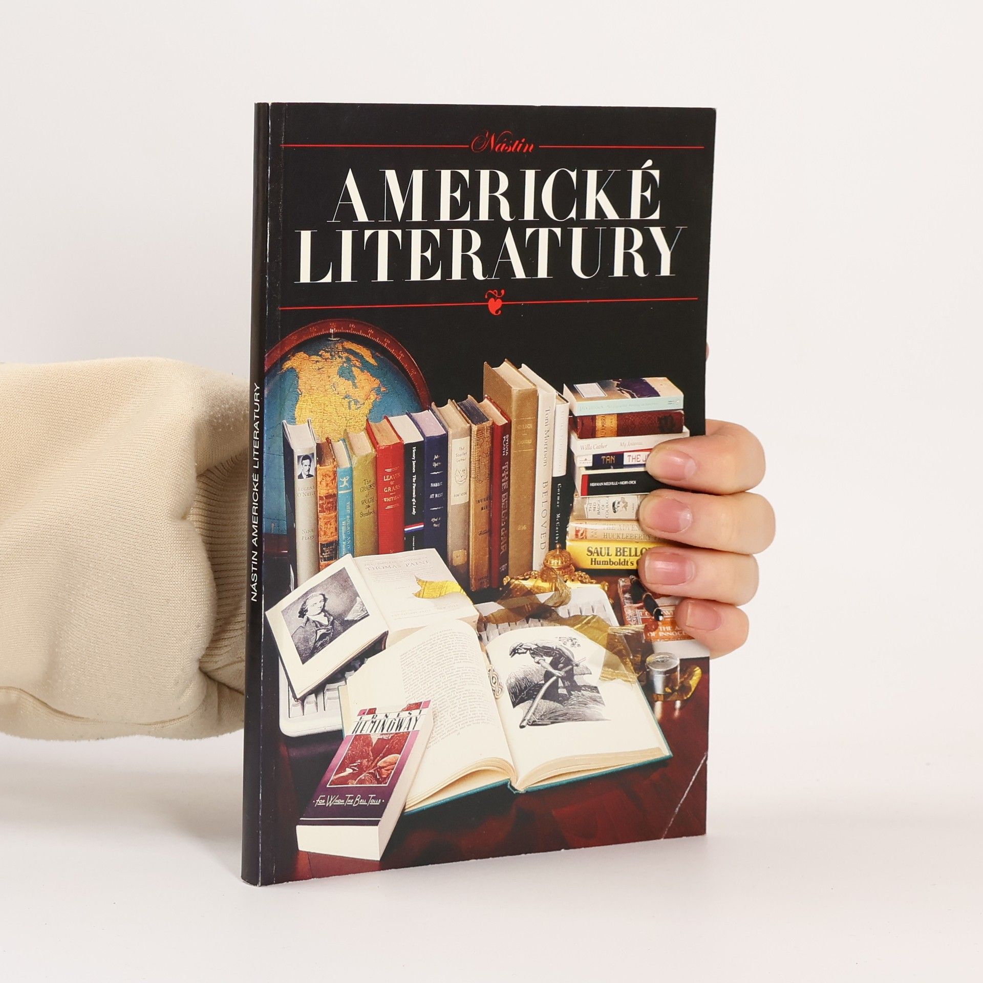 Kathryn VanSpanckeren Nástin americké literatury