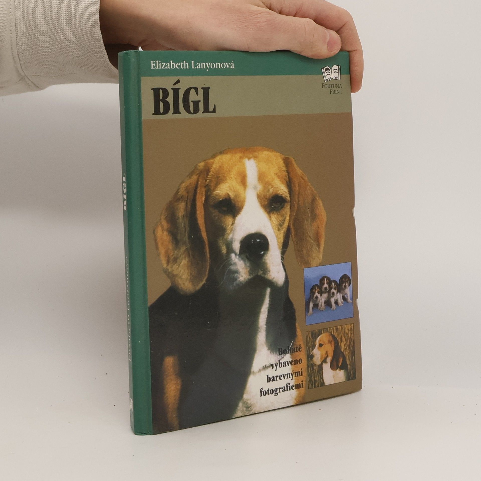 Elizabeth Lanyon Bígl