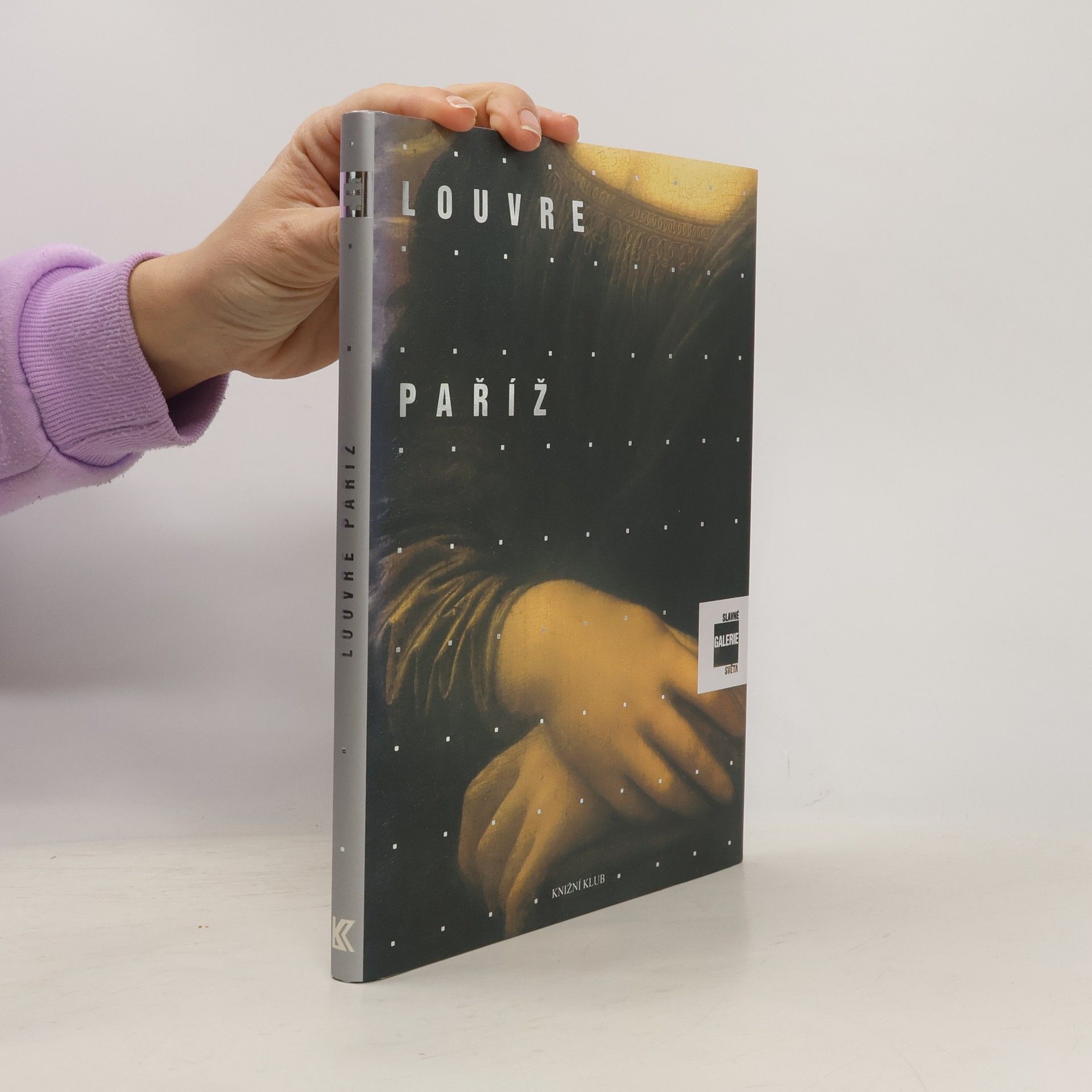 Alessandra Fregolent Slavné galerie světa. Louvre - Paříž