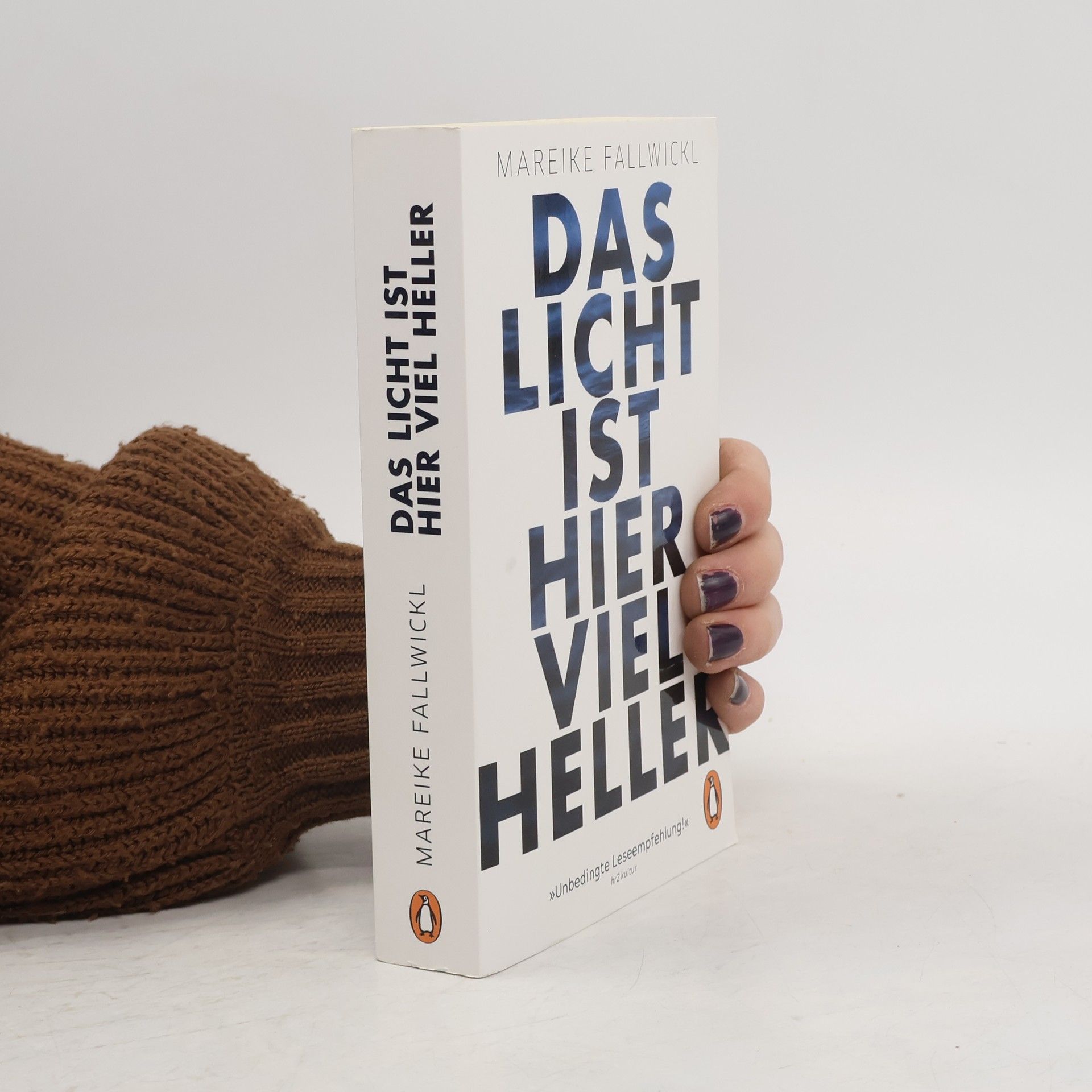 Mareike Fallwickl Das licht ist hier viel heller