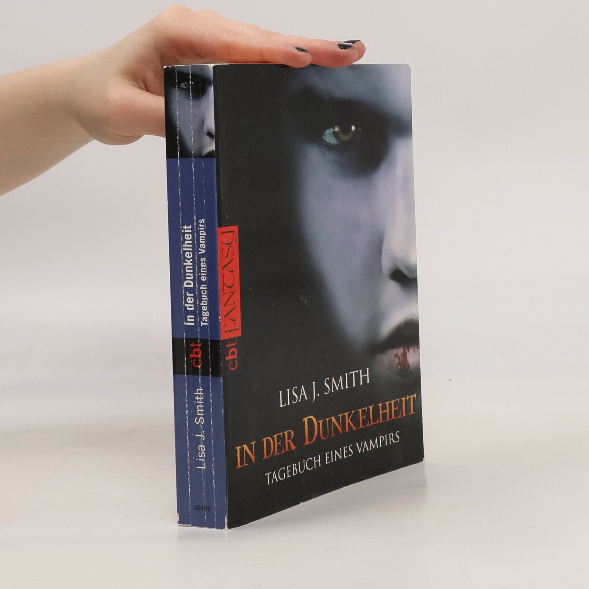 L. J. Smith In der Dunkelheit