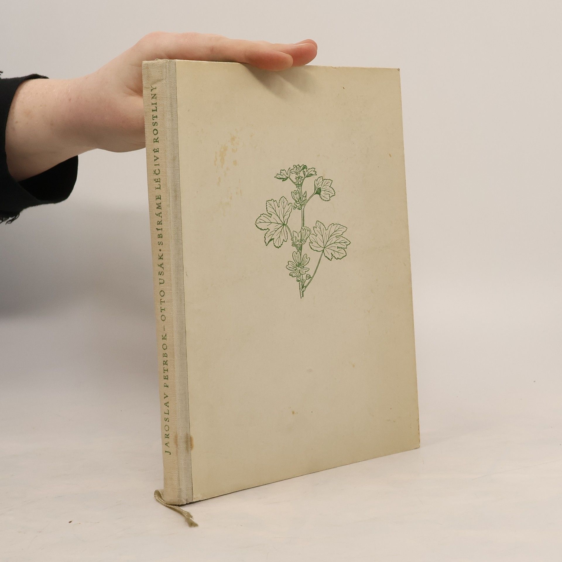 Sbíráme léčivé rostliny