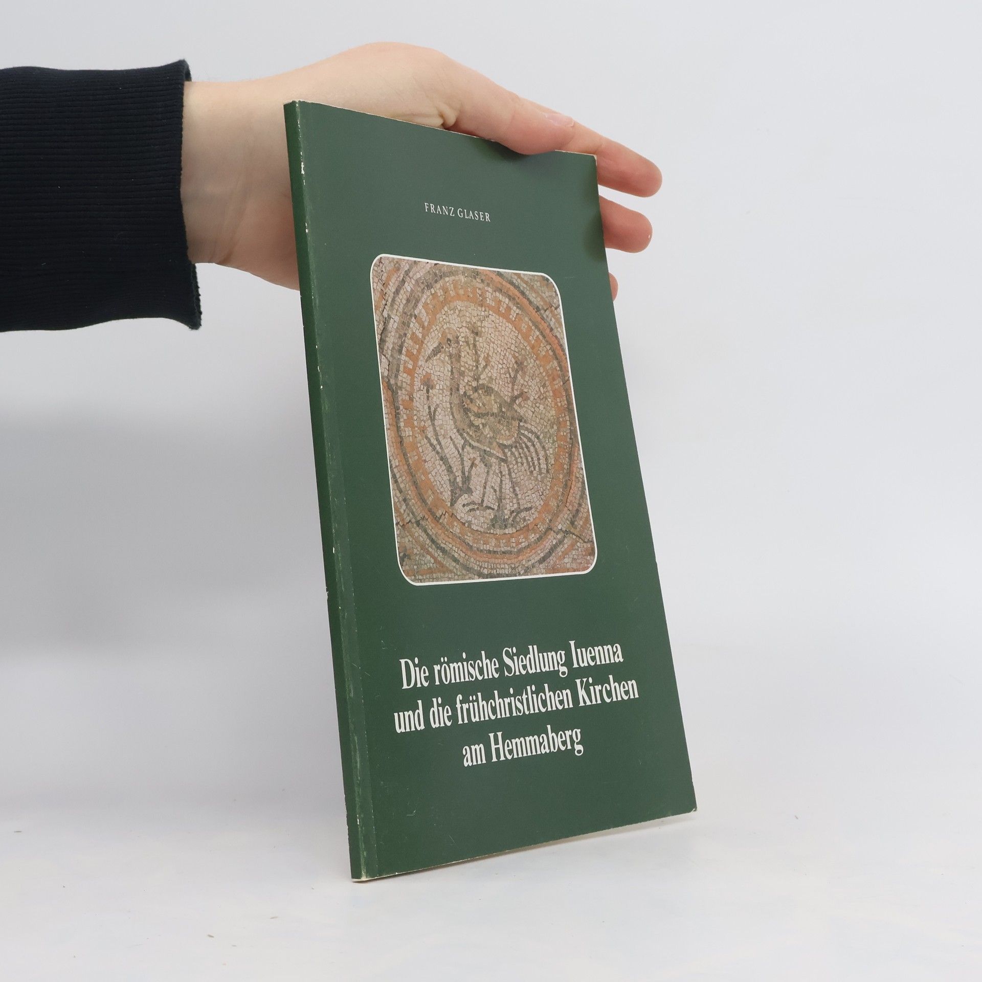 Die römische Siedlung Iuenna und die frühchristlichen Kirchen am Hemmaberg