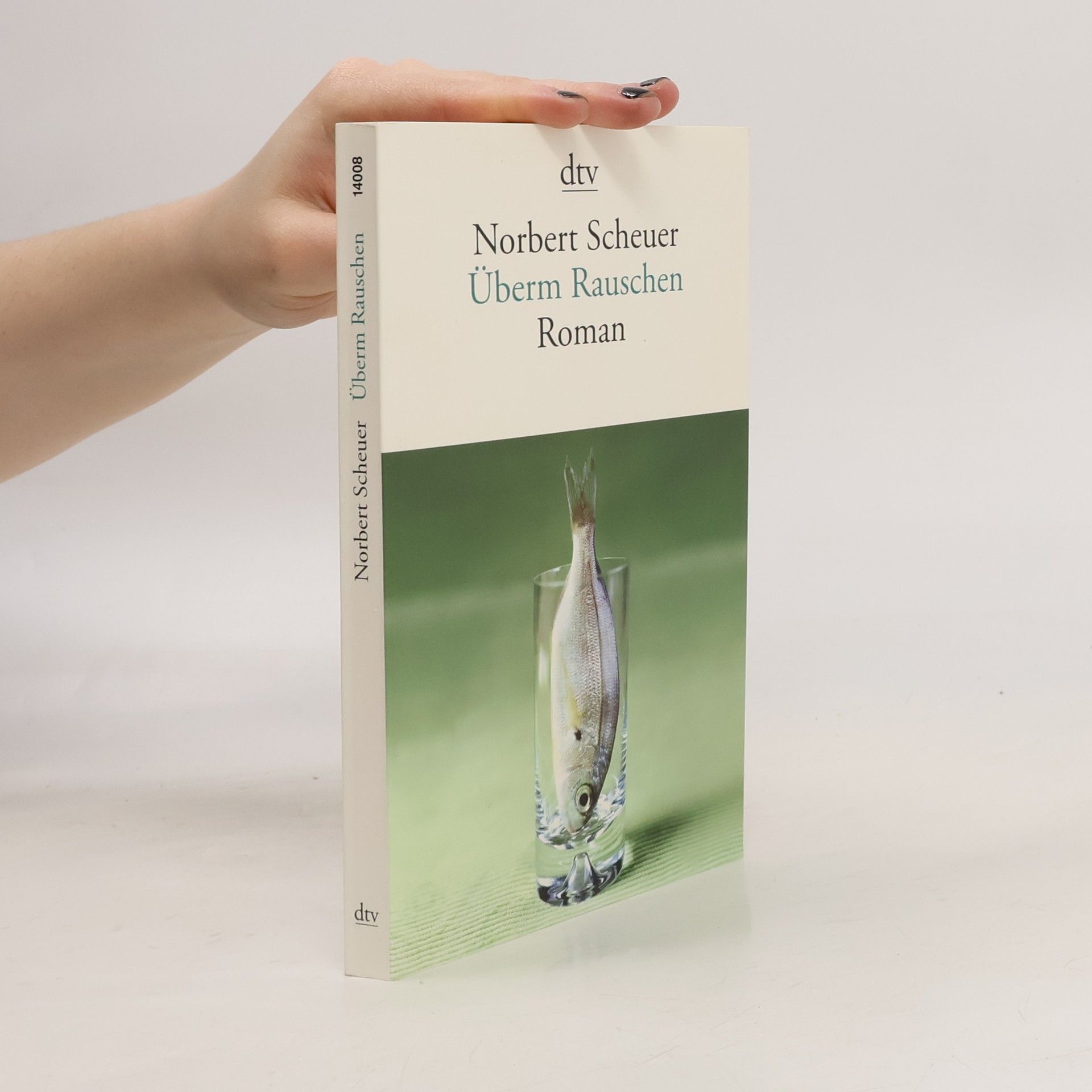 Norbert Scheuer Überm Rauschen