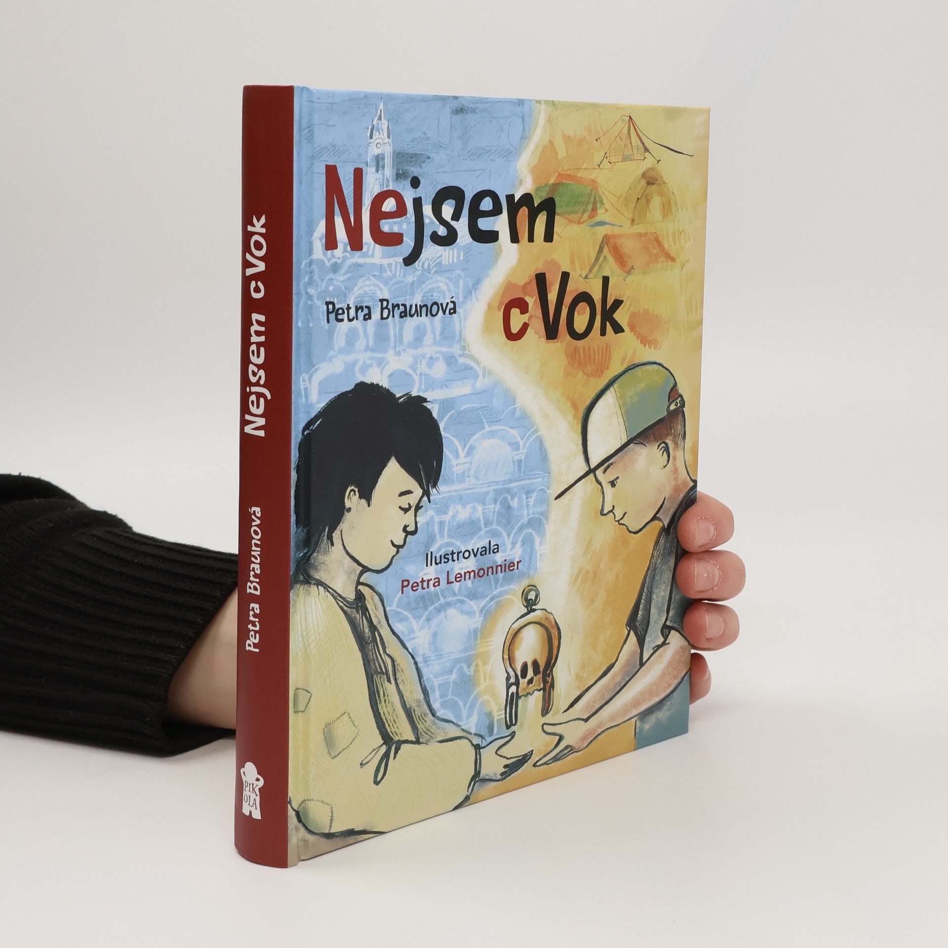 Petra Braun Groh Nejsem cVok