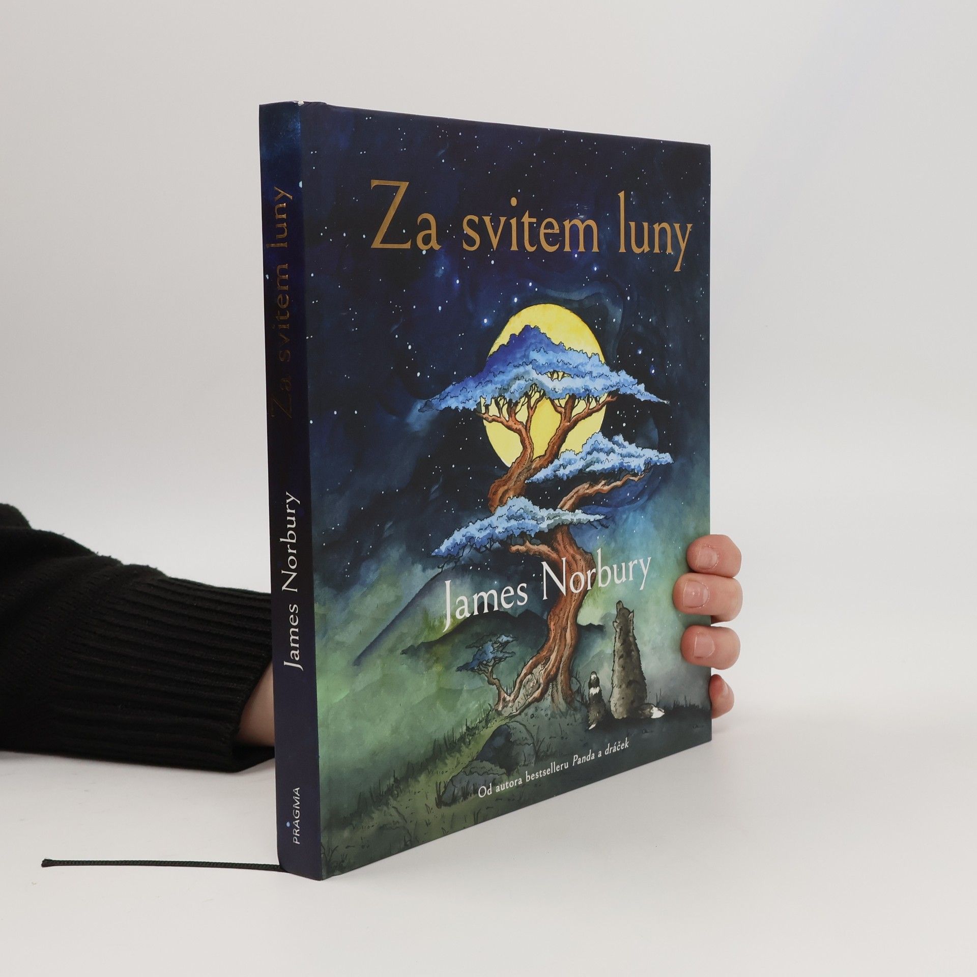 James Norbury Za svitem luny