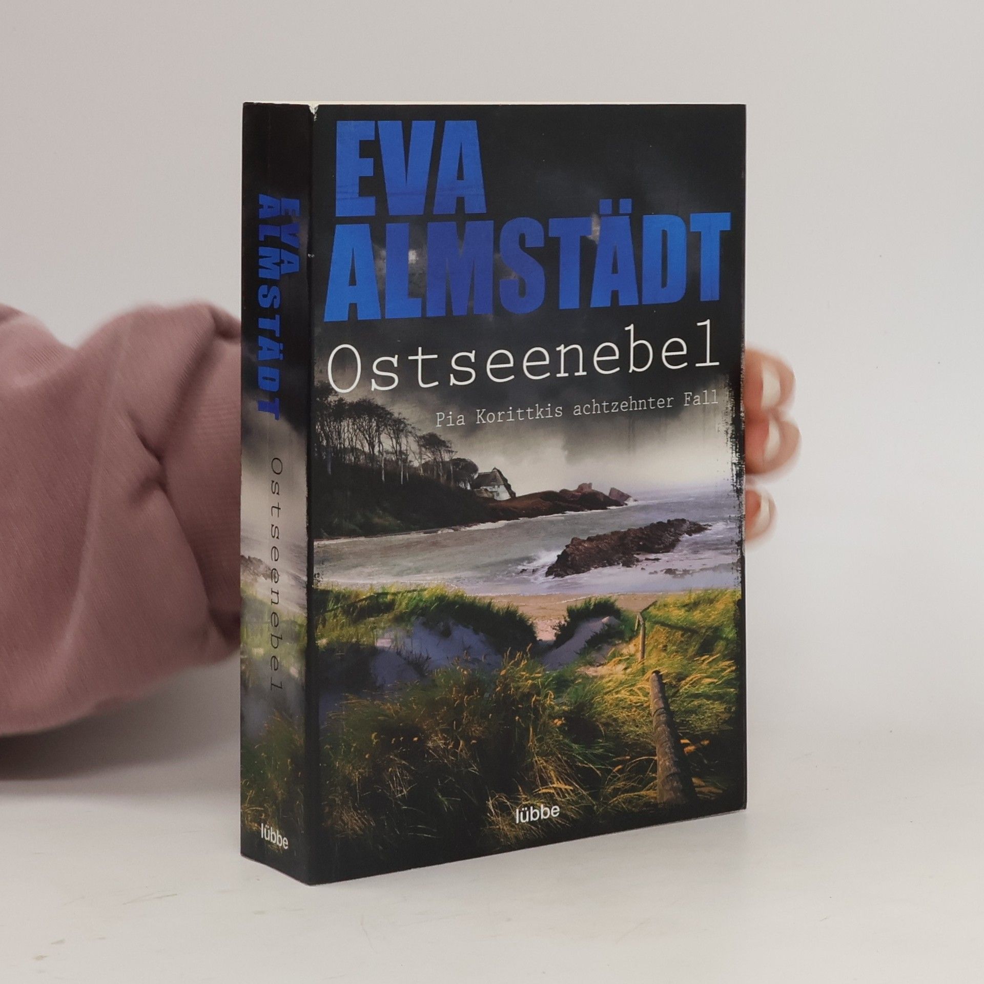 Eva Almstädt Ostseenebel
