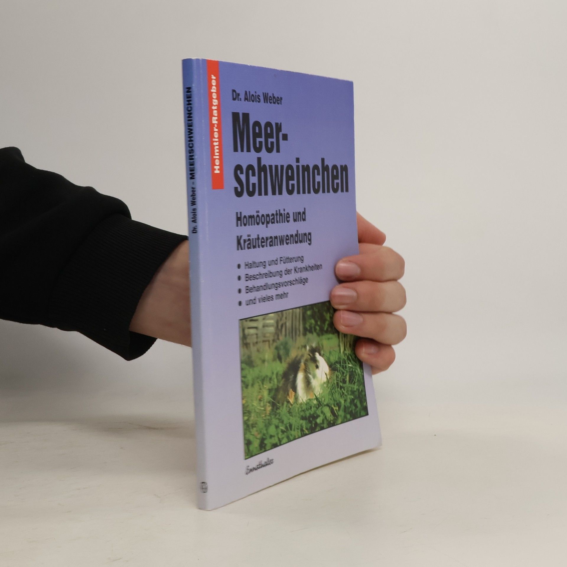 Alois Weber Meerschweinchen