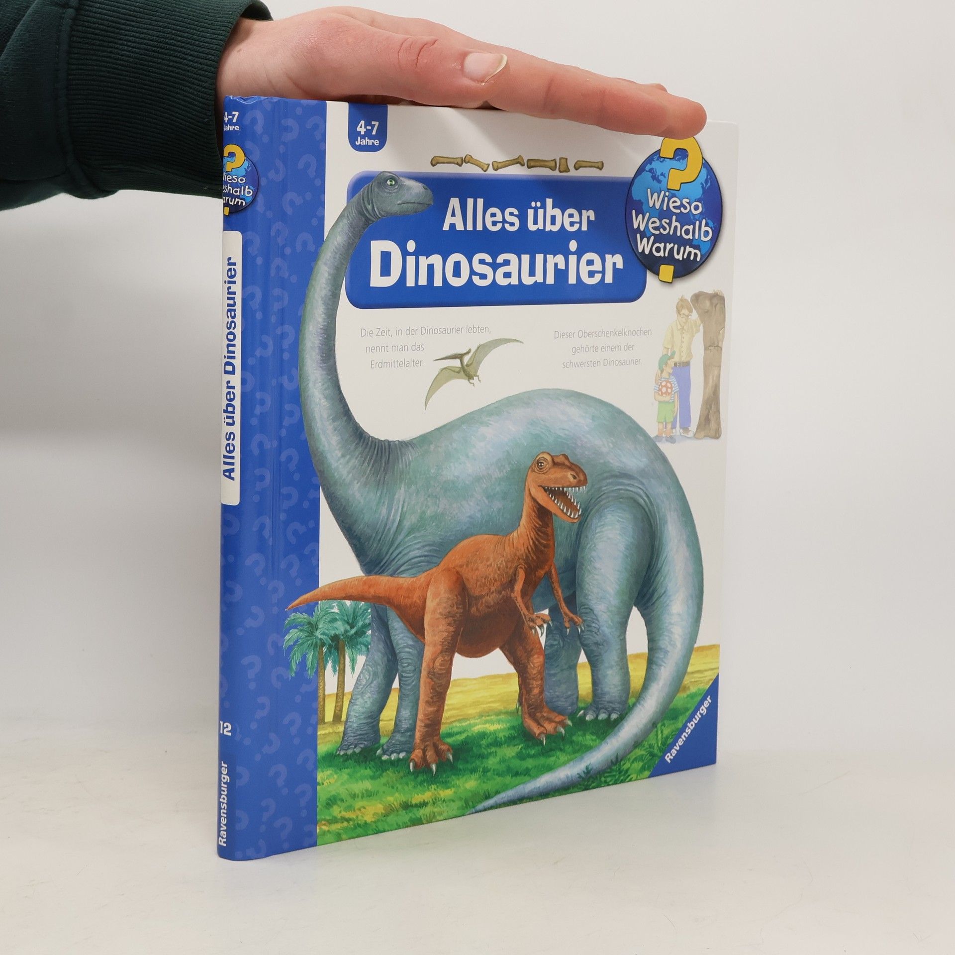 Kolektív autorov Alles über Dinosaurier