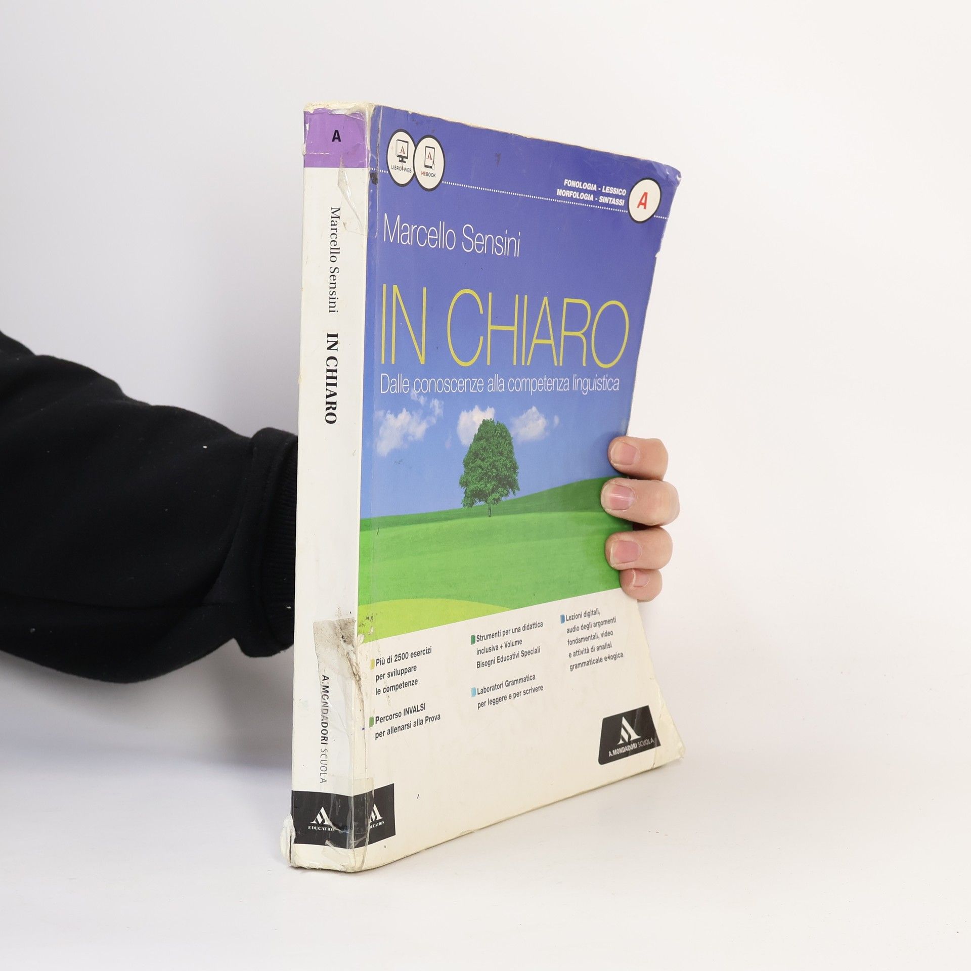 Marcello Sensini In Chiaro: Dalle conoscenze alla competenza linguistica