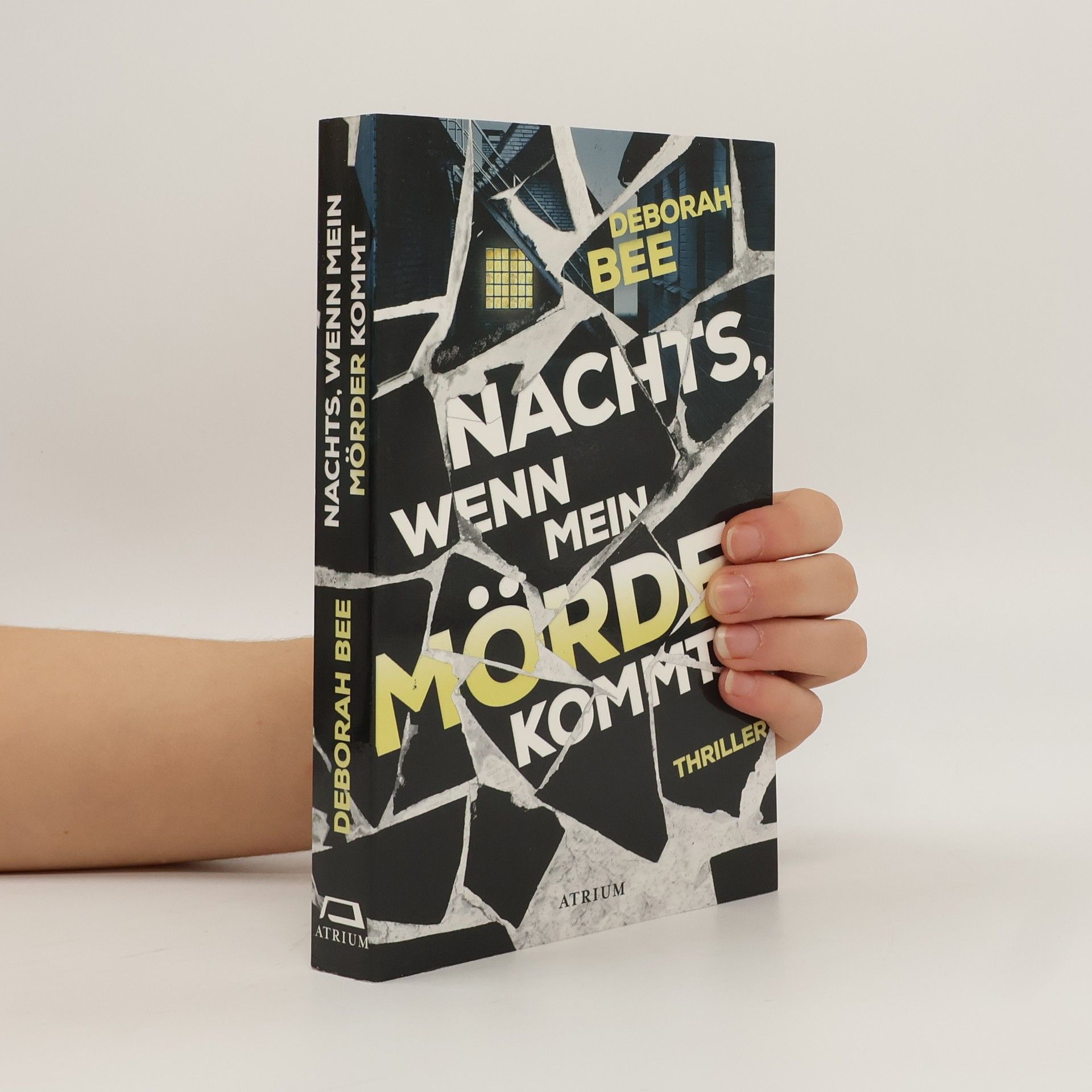 Deborah Bee Nachts, wenn mein Mörder kommt