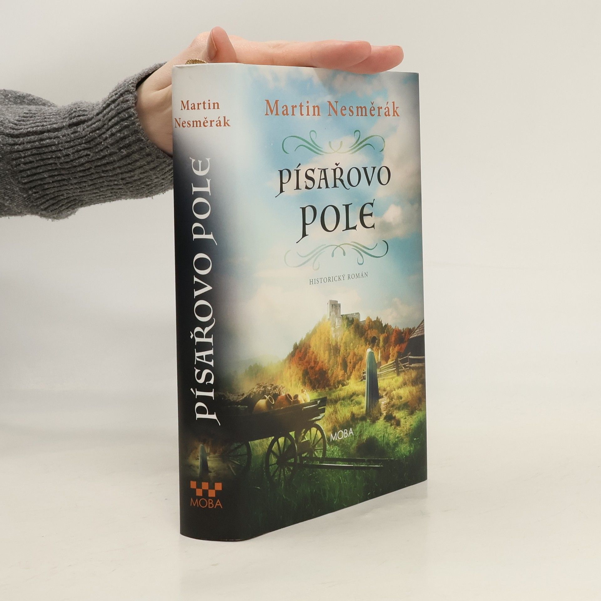 Martin Nesměrák Písařovo pole