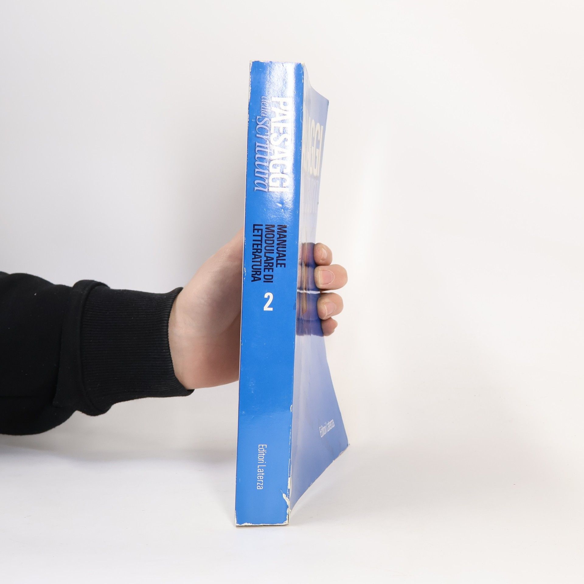 Paesaggi della scrittura. Manuale modulare di letteratura. Temi interdisciplinari e strumenti