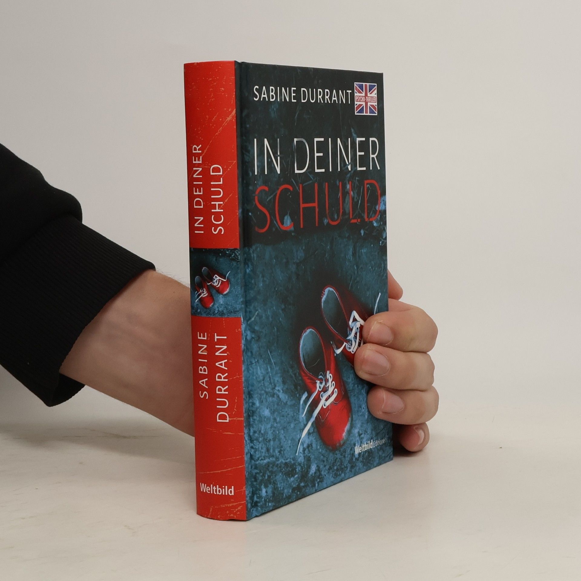 Sabine Durrant In deiner Schuld