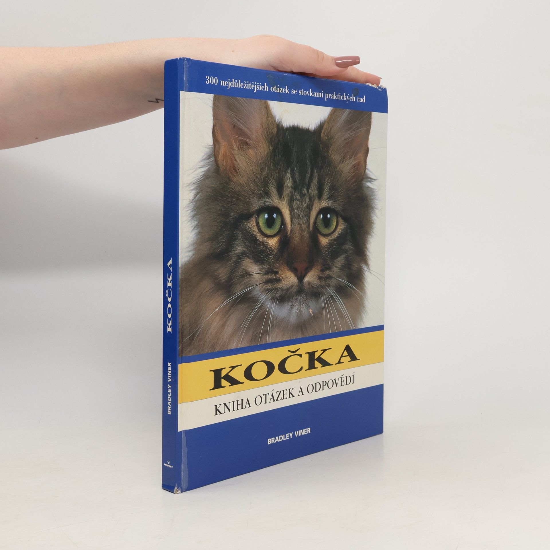 Bradley Viner Kočka. Kniha otázek a odpovědí