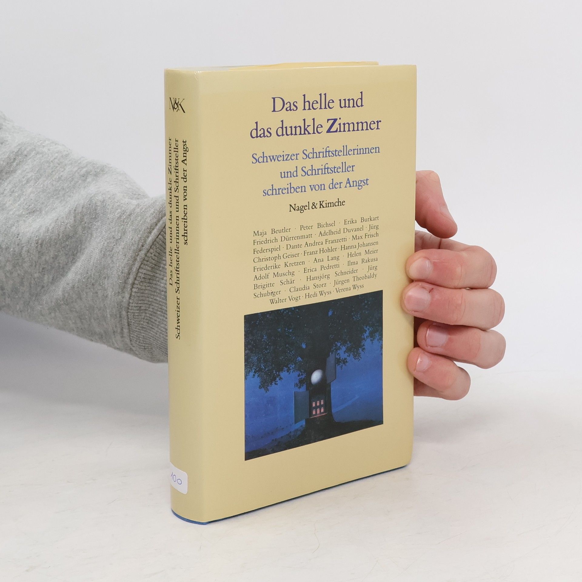 Renate Nagel Das helle und das dunkle Zimmer