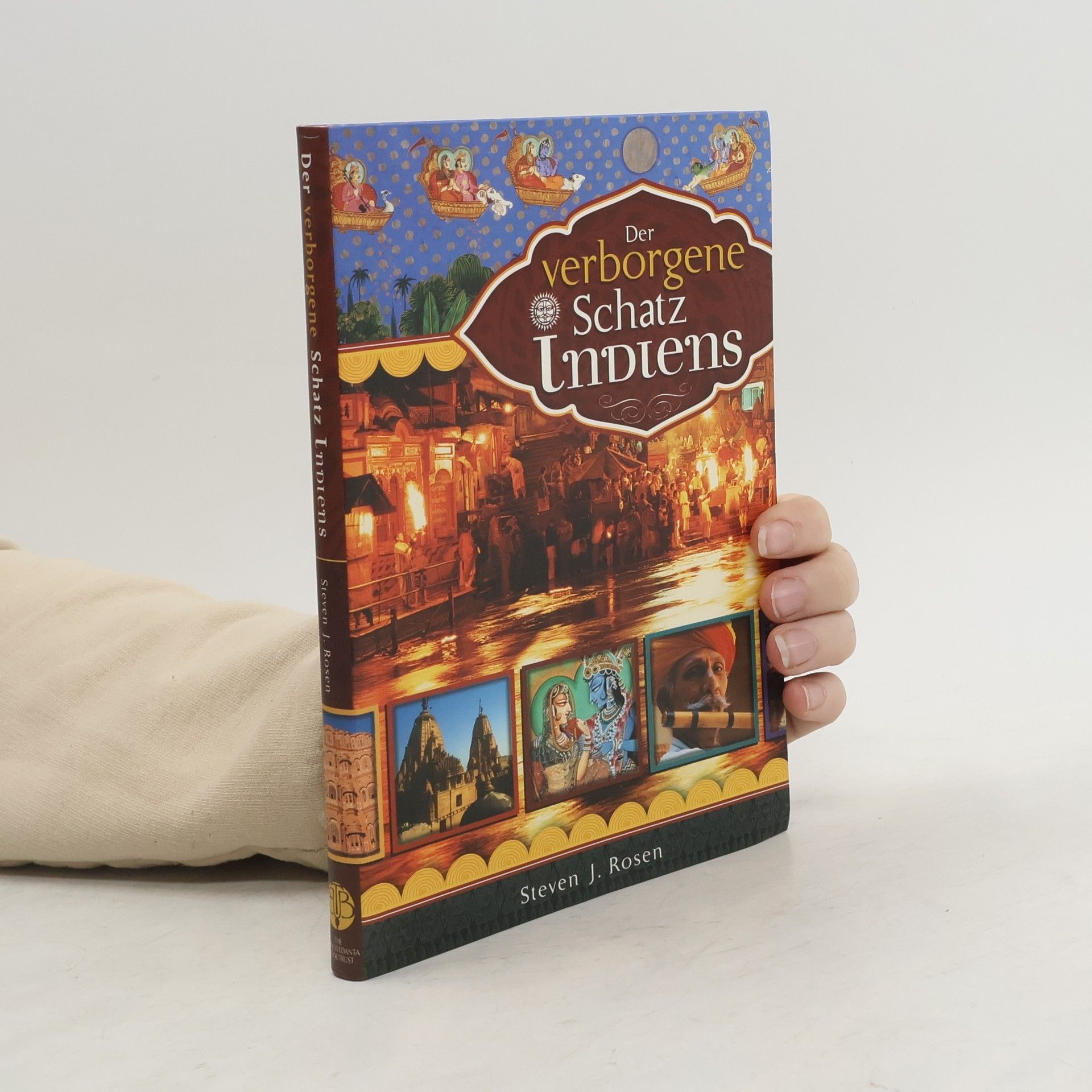 Steven Rosen Der verborgene Schatz Indiens