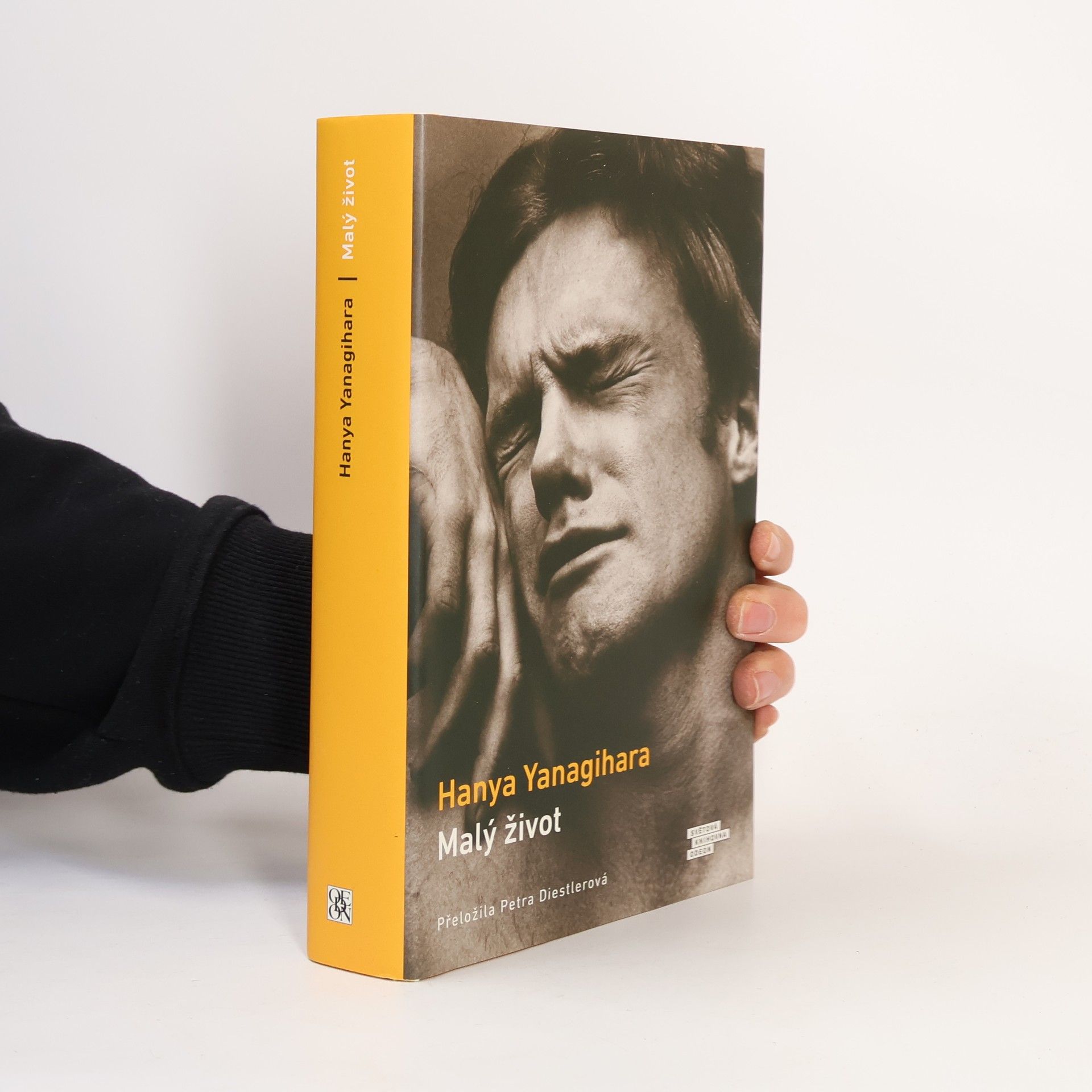 Hanya Yanagihara Malý život