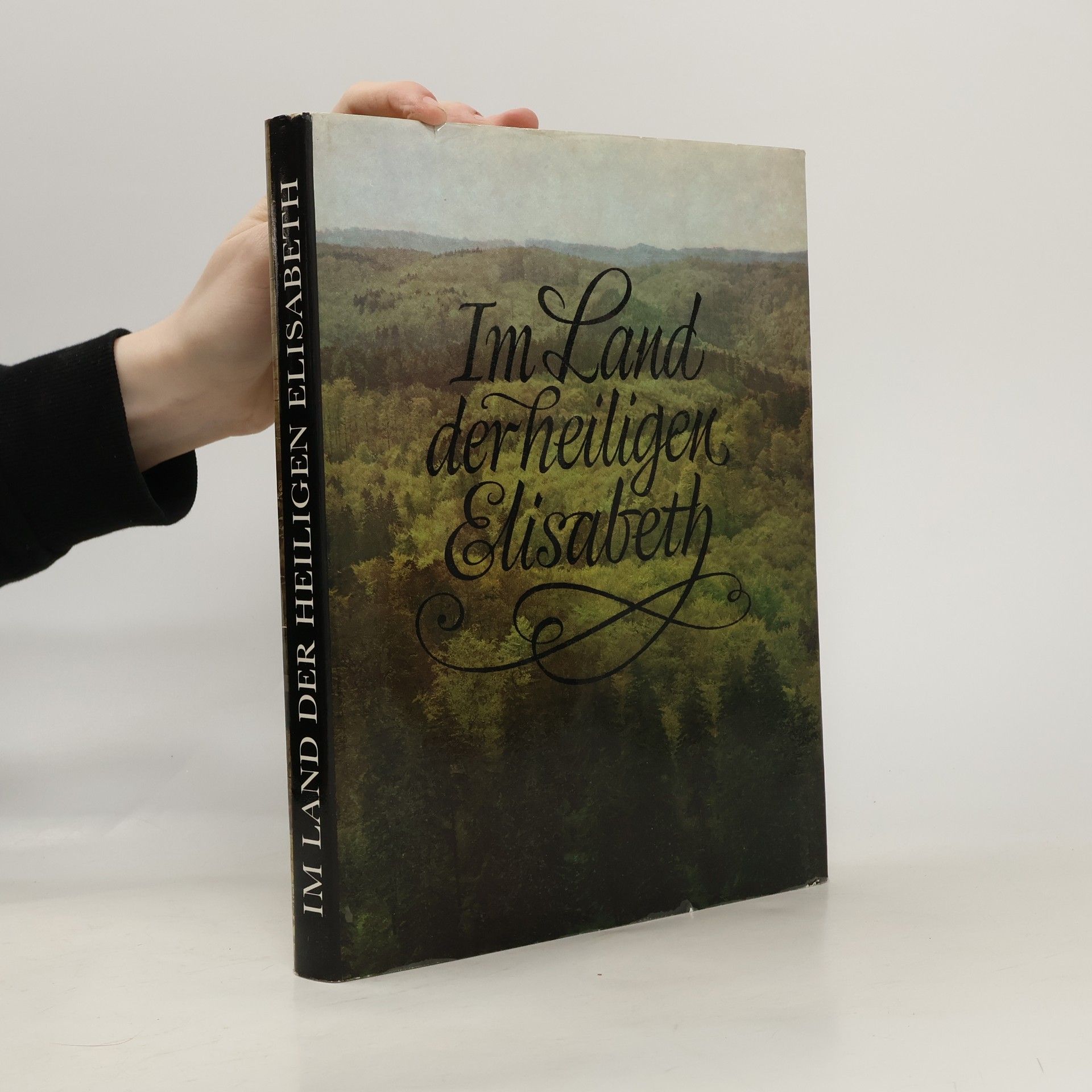 Autores varios Im Land der heiligen Elisabeth