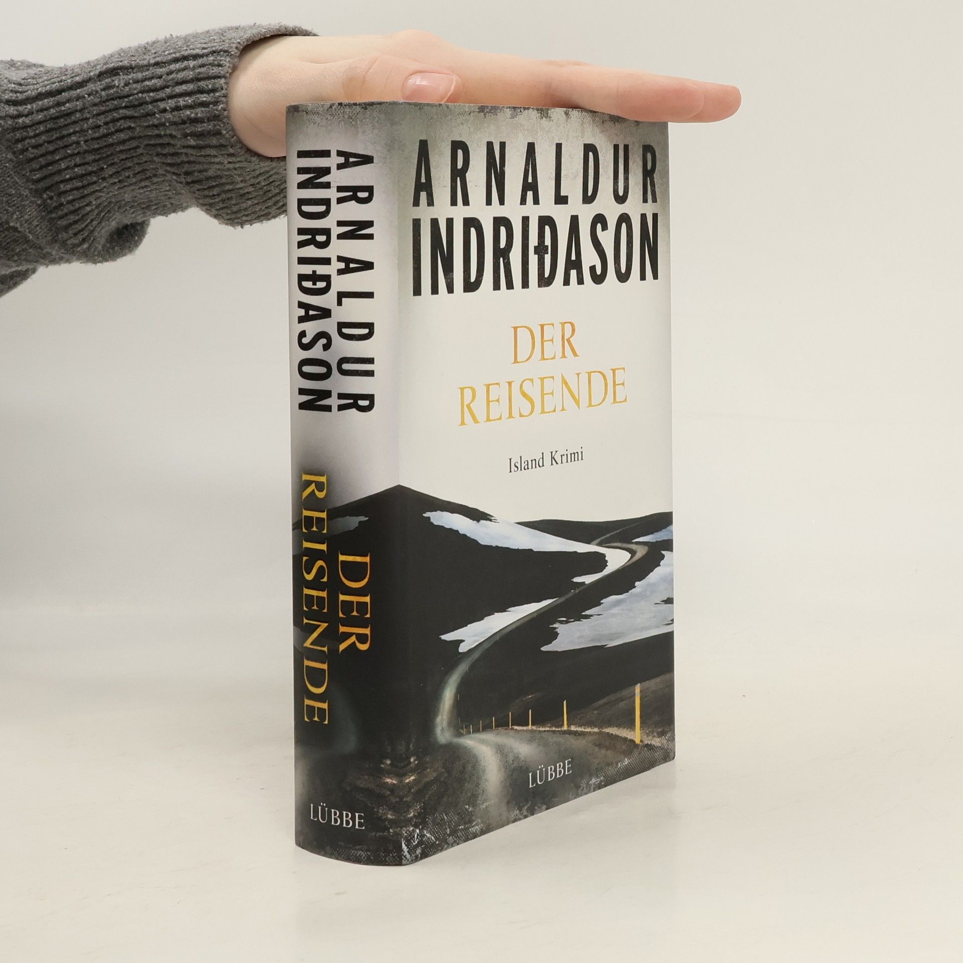 Arnaldur Indriðason Der Reisende