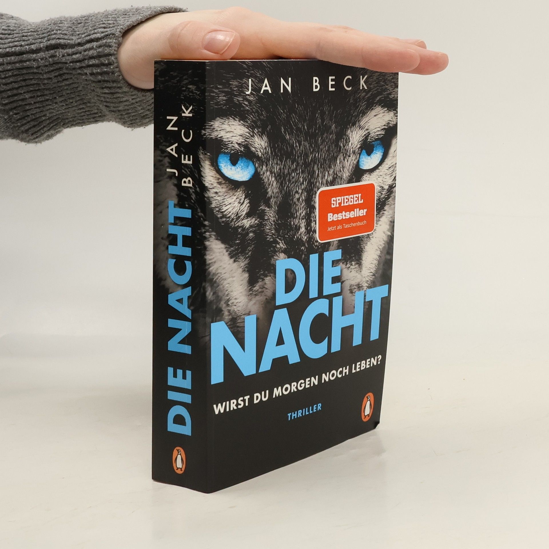 Jan Beck Die Nacht. Wirst du morgen noch leben?