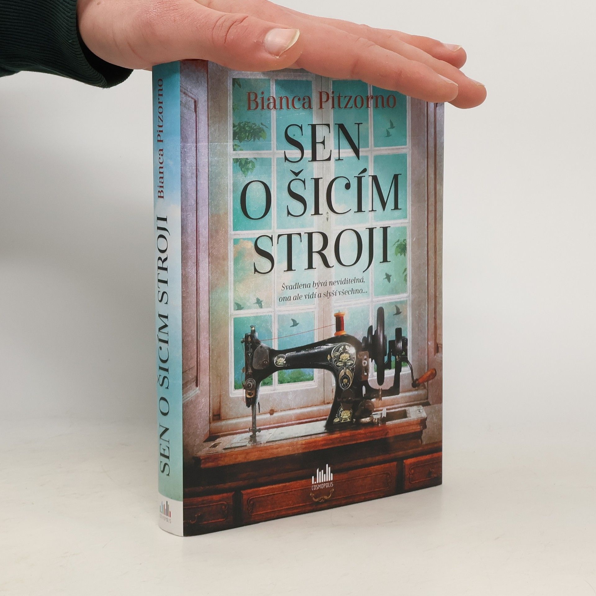 Ilona Laužanská Sen o šicím stroji