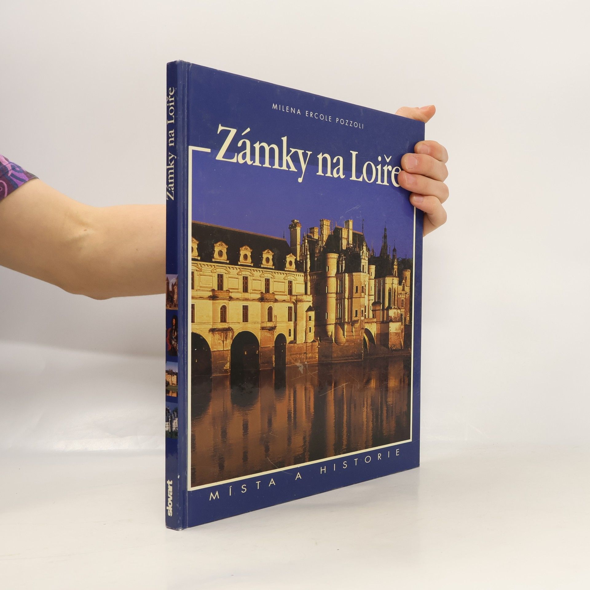 Milena Ercole Pozzoli Zámky na Loiře. Místa a historie