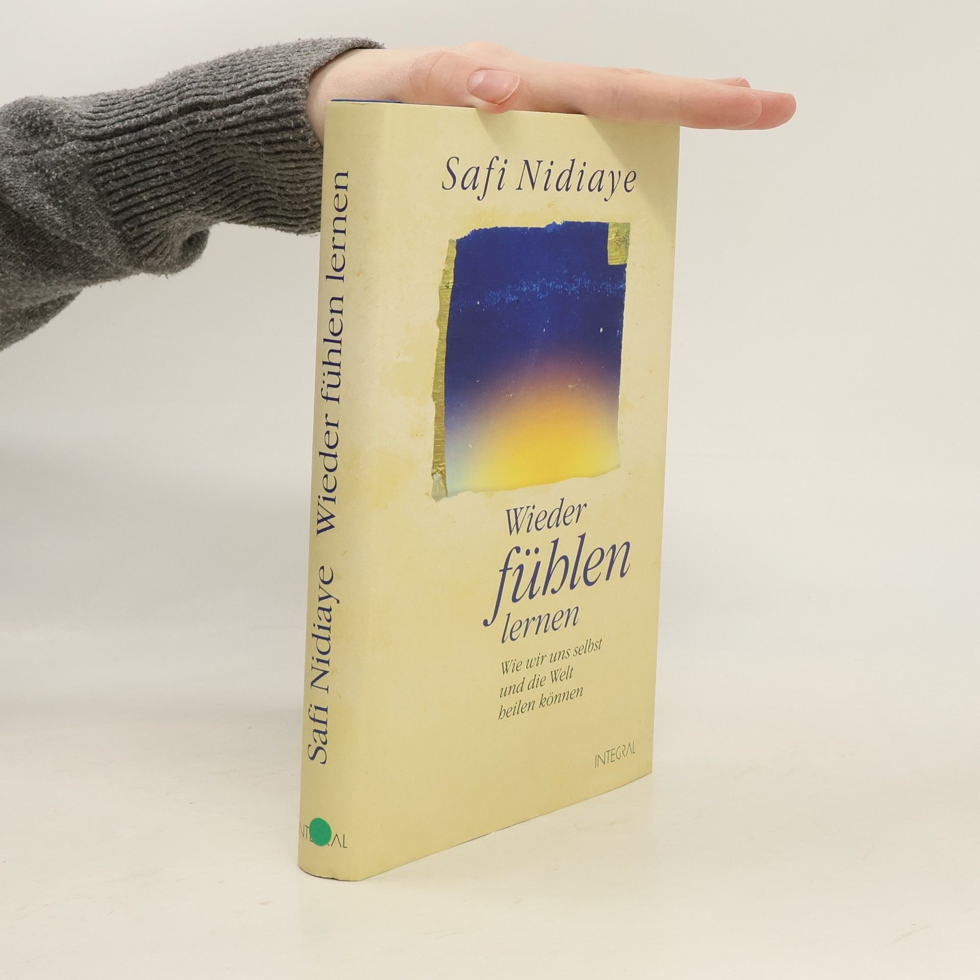 Safi Nidiaye Wieder fühlen lernen: Wie wir uns selbst und die Welt heilen können