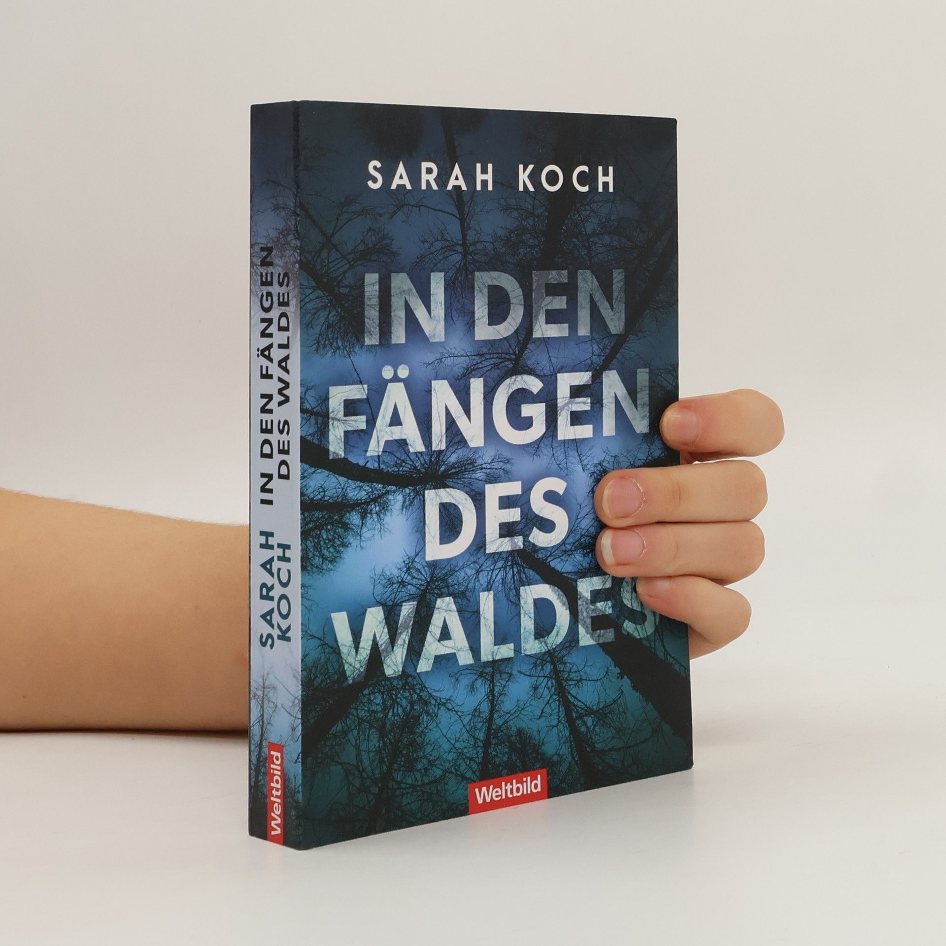 Sarah Koch In den Fängen des Waldes