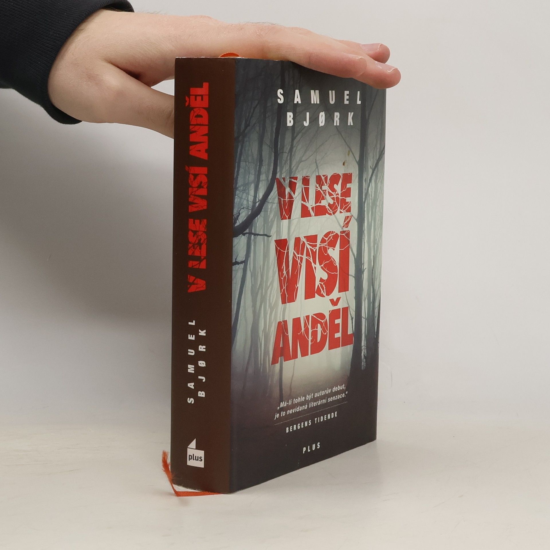 Samuel Bjork V lese visí anděl