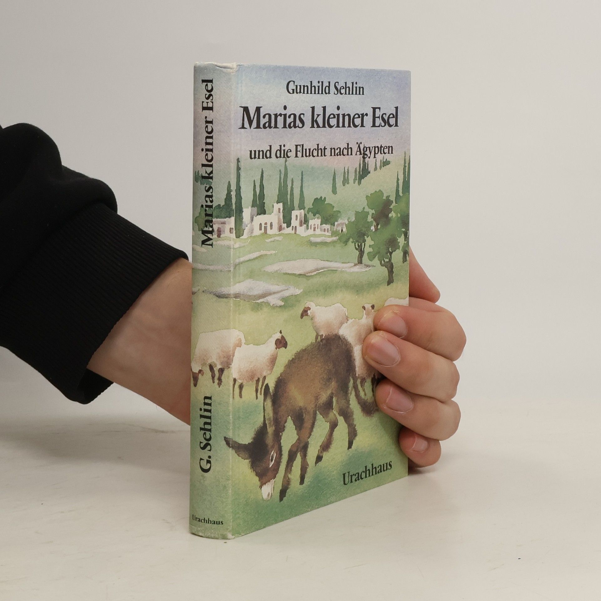 Gunhild Sehlin Marias kleiner Esel und die Flucht nach Ägypten