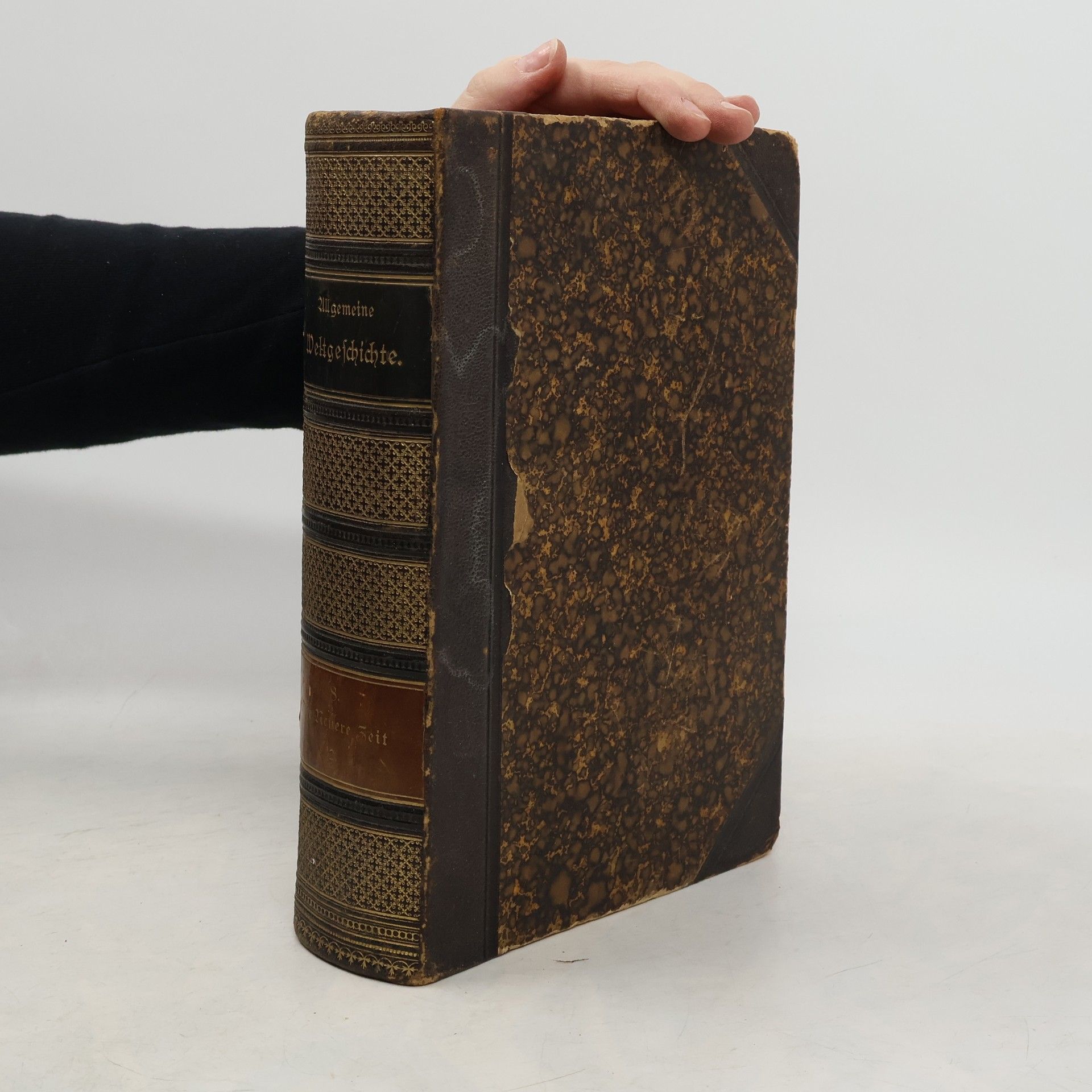 Allgemeine Weltgeschichte VIII.