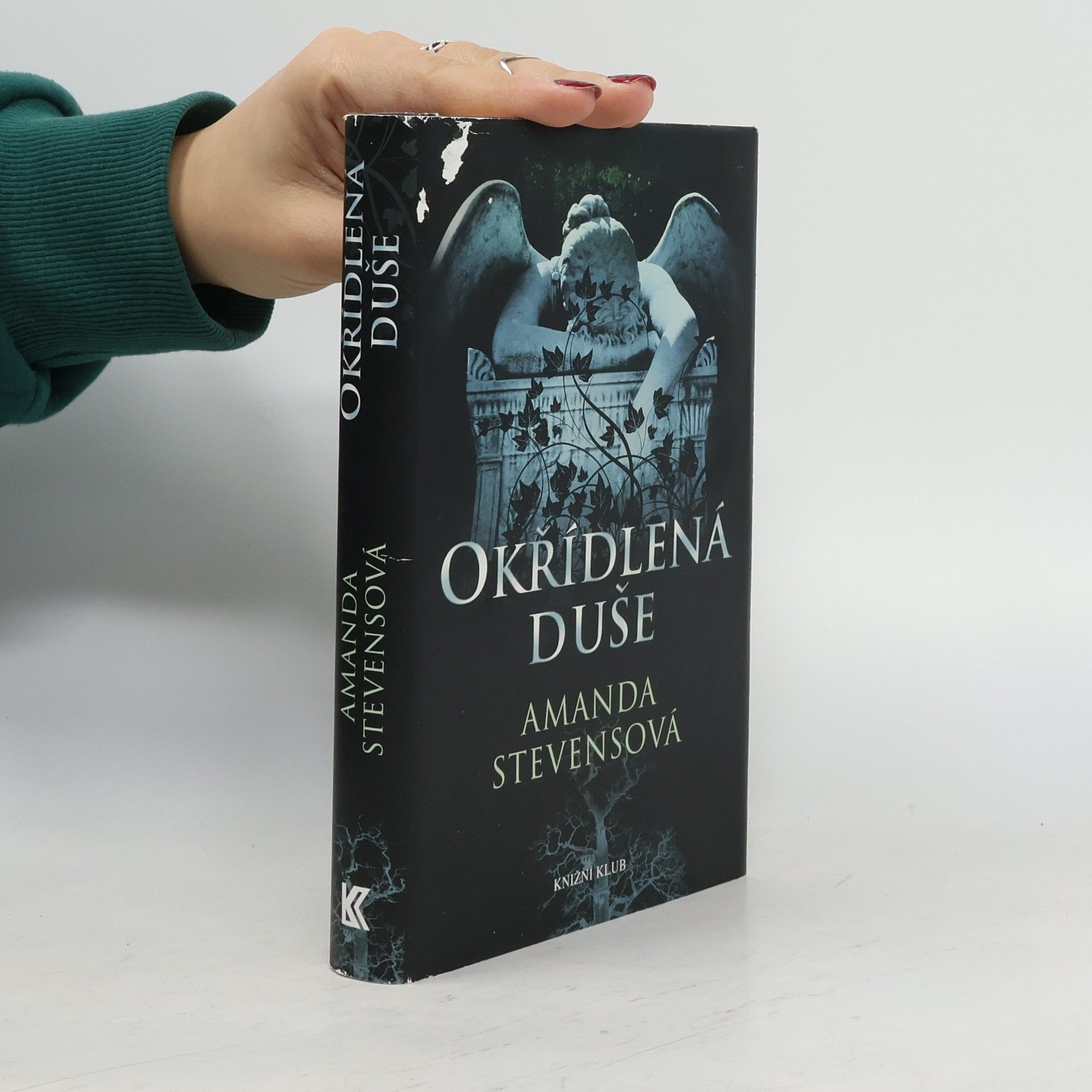 Amanda Stevens Okřídlená duše