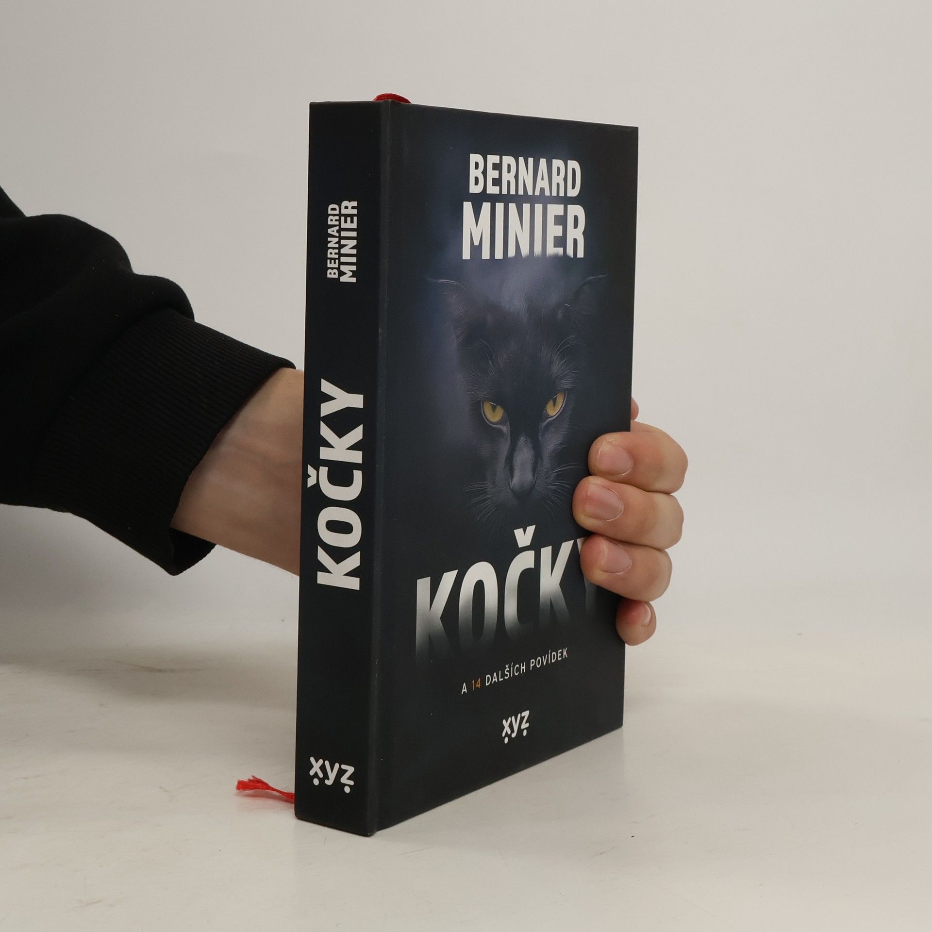 Bernard Minier Kočky