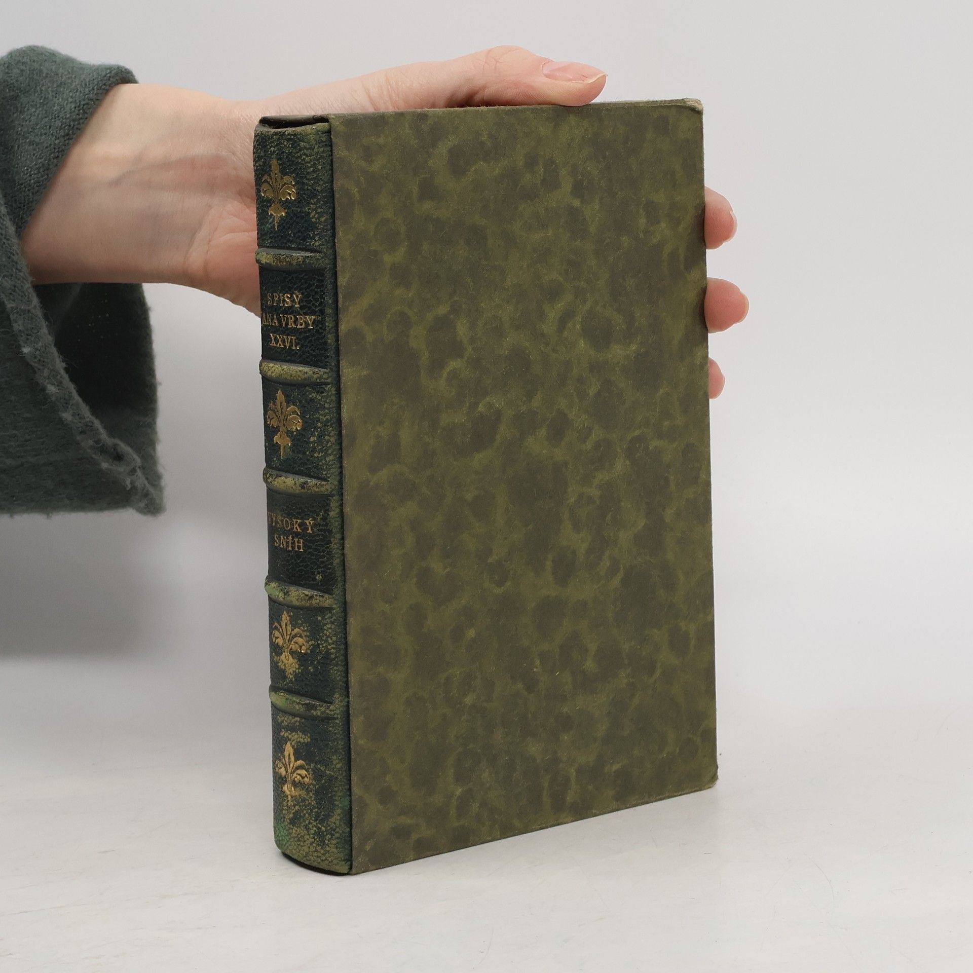 Jan Vrba Vysoký sníh