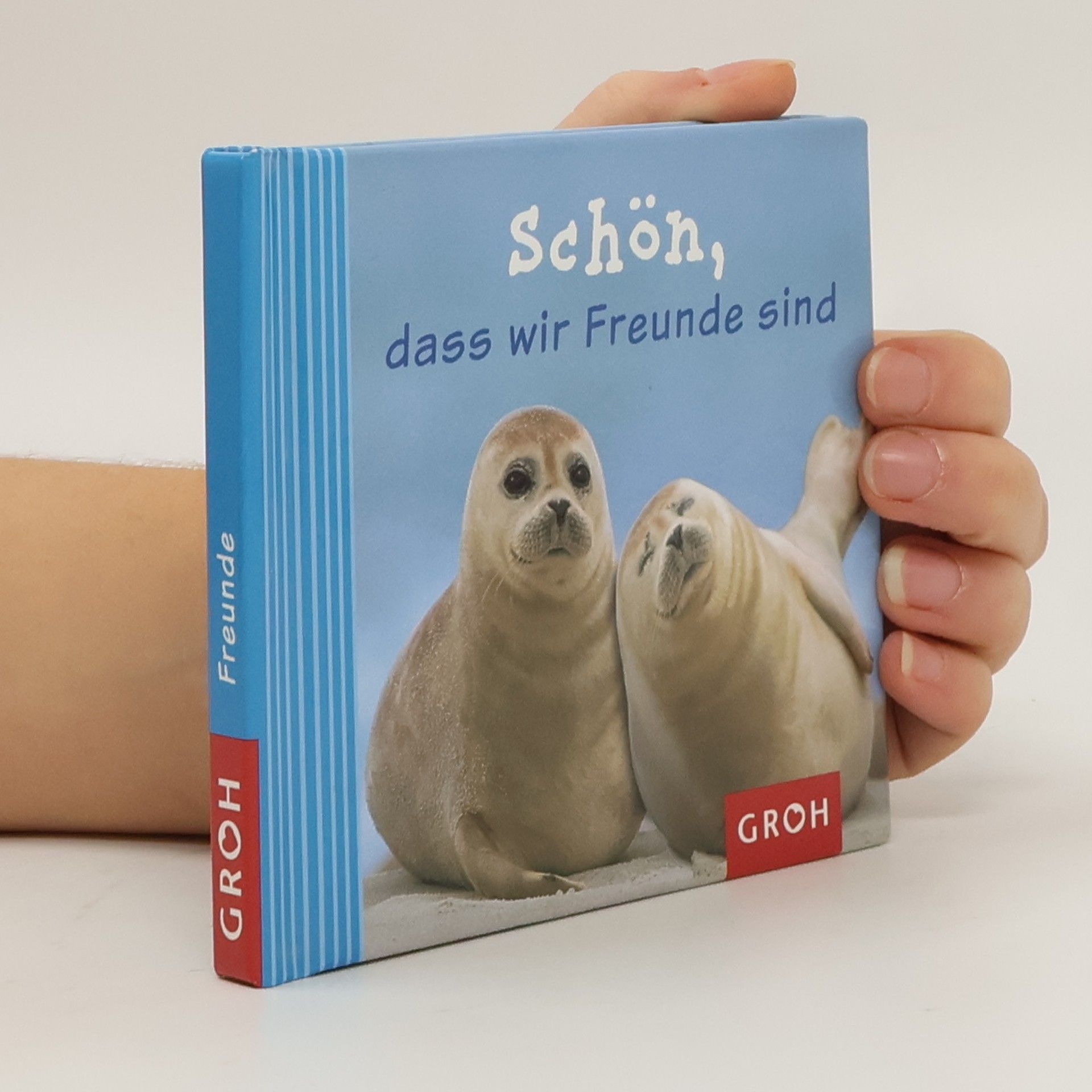 Kolektiv autorů Schön, dass wir Freunde sind