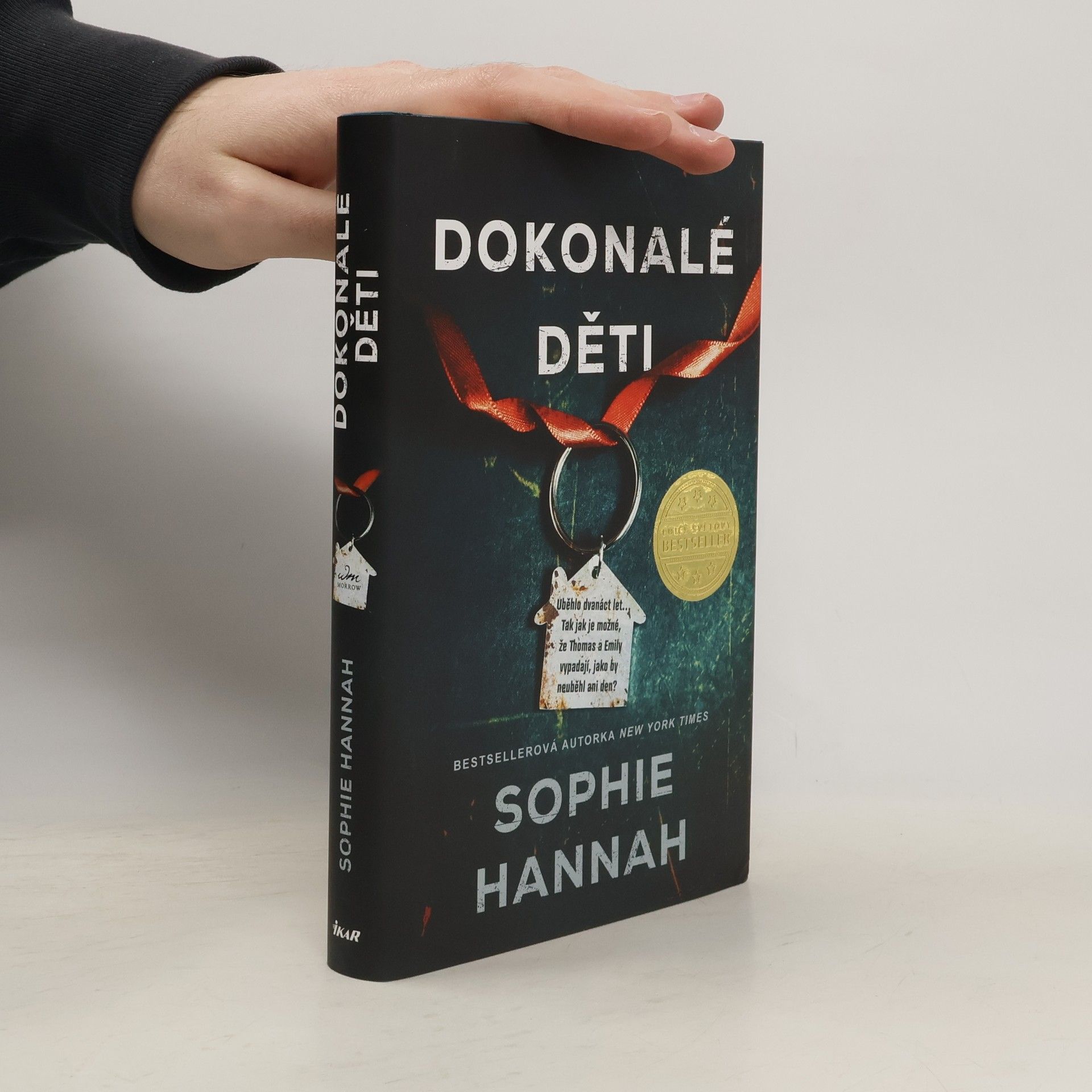 Sophie Hannah Dokonalé děti