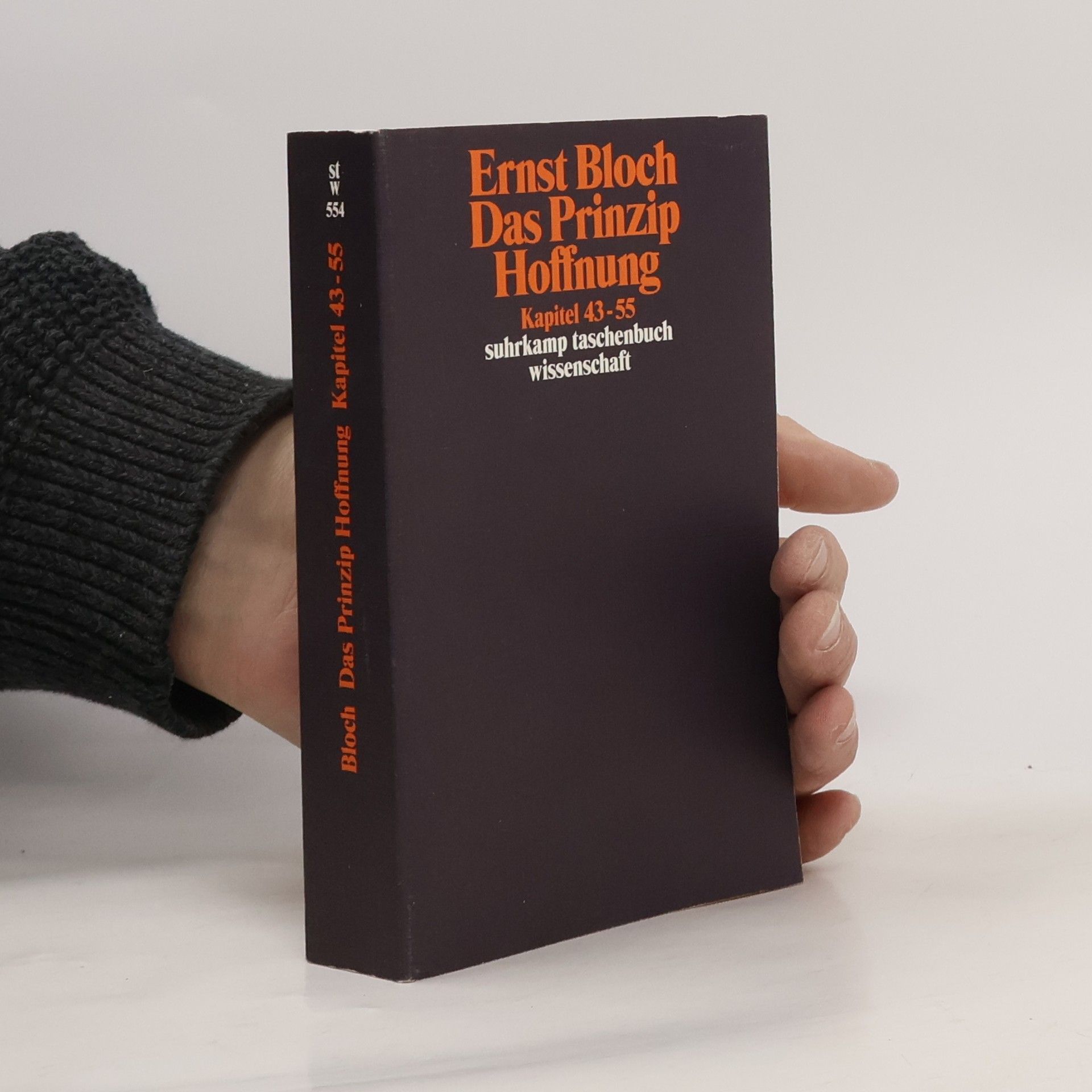 Ernst Bloch Das Prinzip Hoffnung: Kapitel 43-55