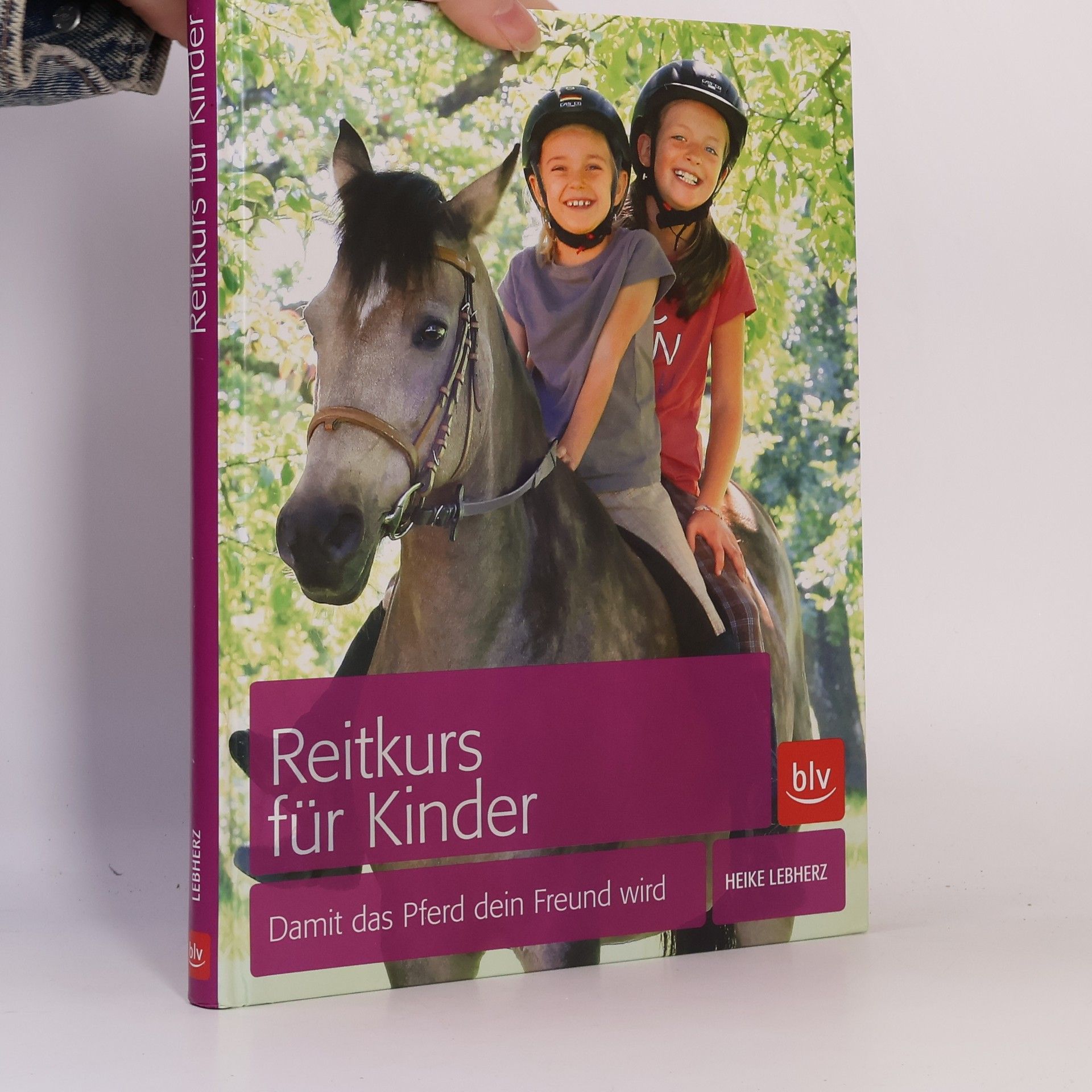 Reitkurs für Kinder
