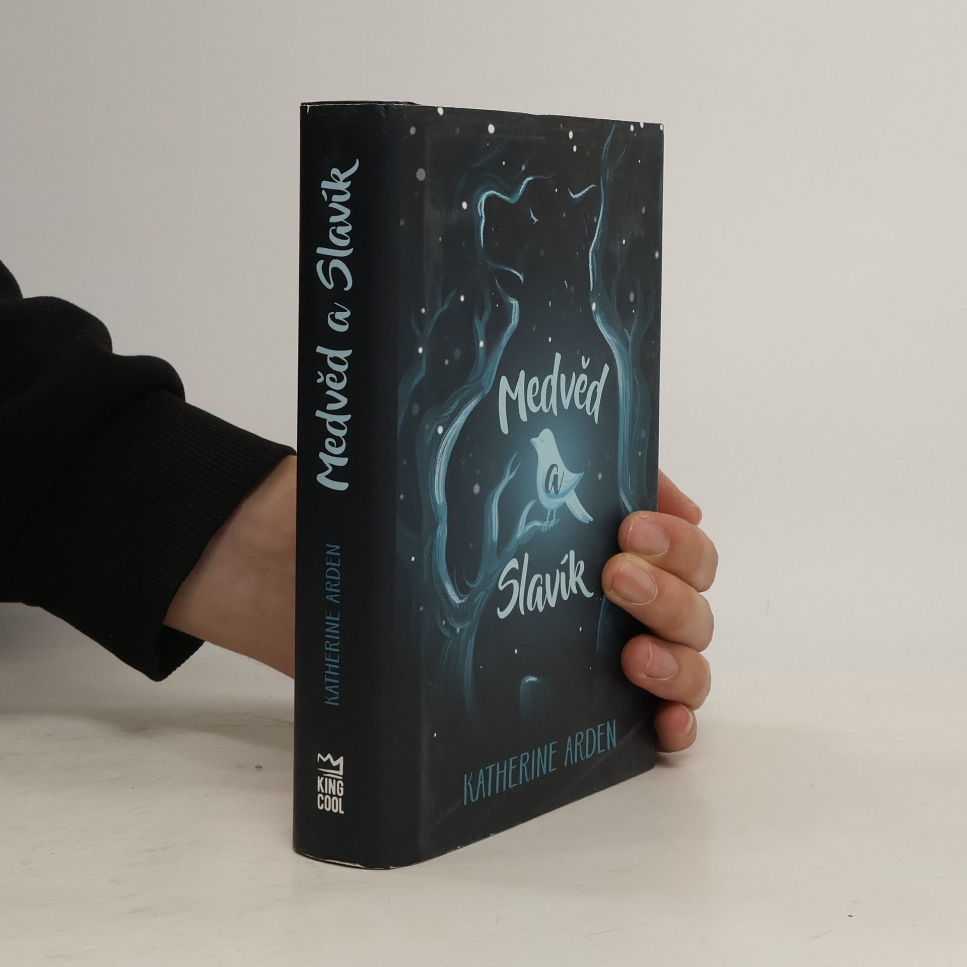 Katherine Arden Medvěd a Slavík