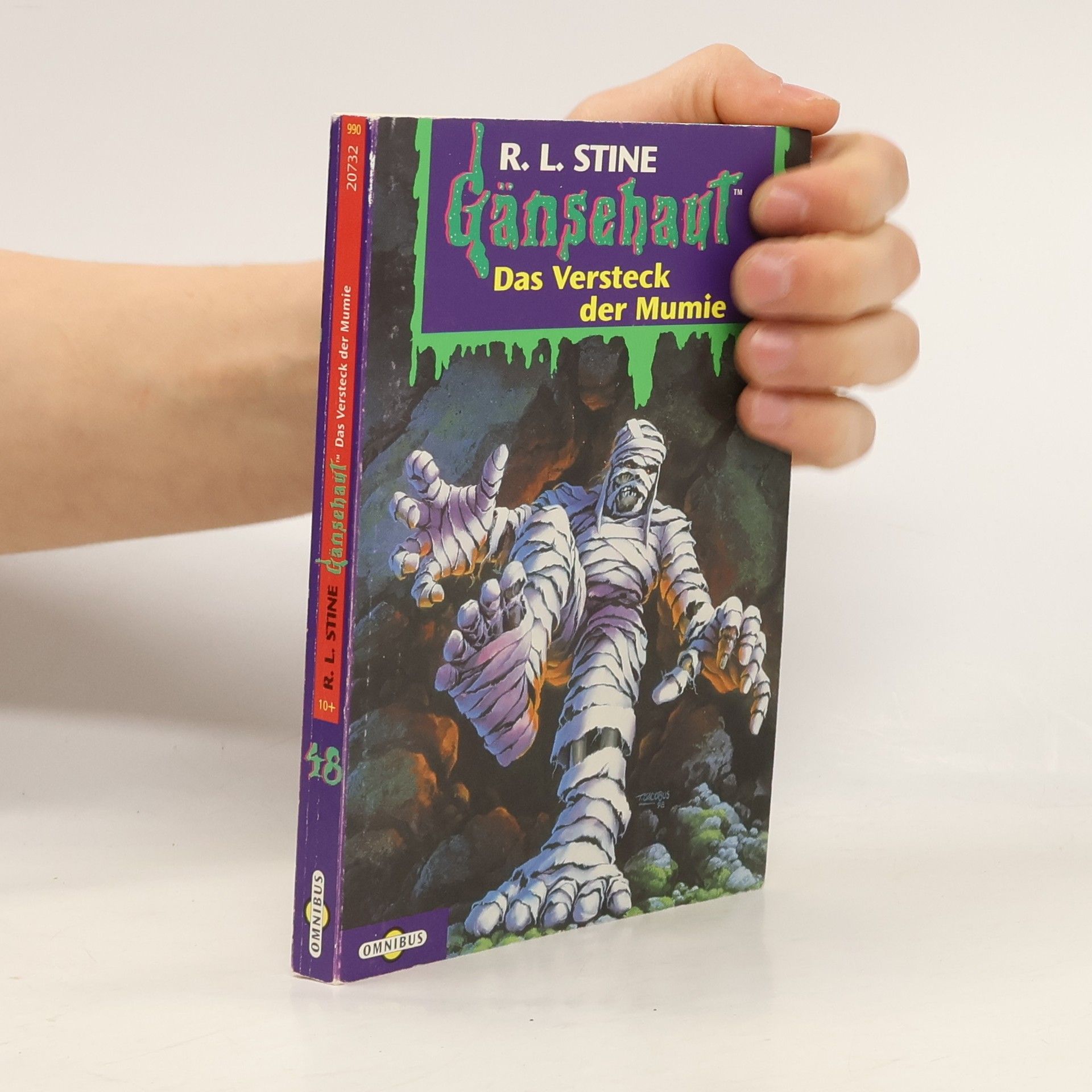 R. L. Stine Gänsehaut 48. Das Versteck der Mumie