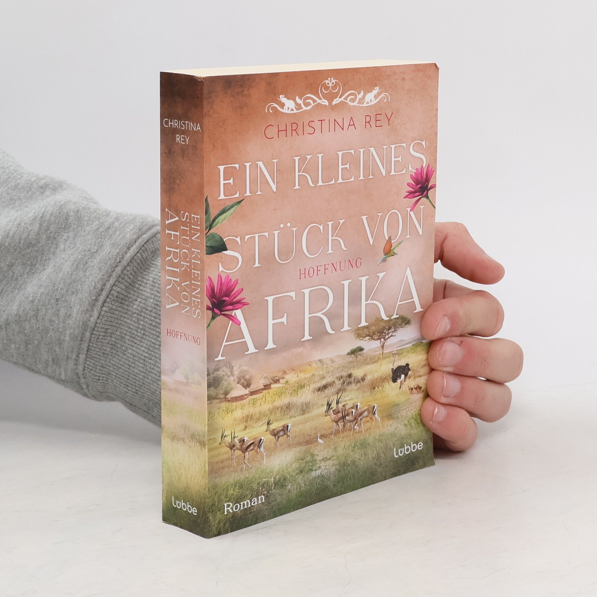 Christina Rey Hoffnung / Ein kleines Stück von Afrika Bd.2