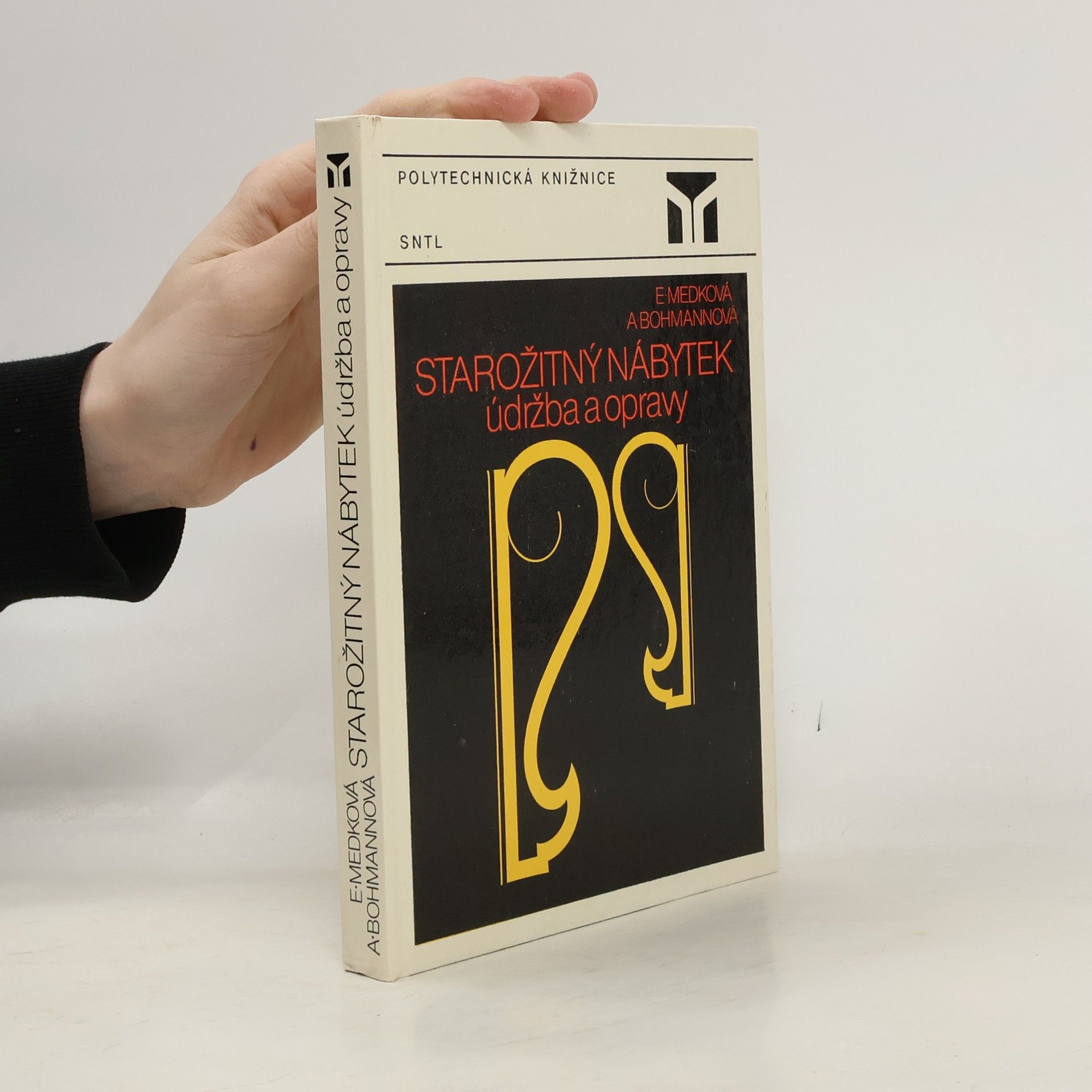 Andrea Bohmannová Starožitný nábytek. Údržba a opravy