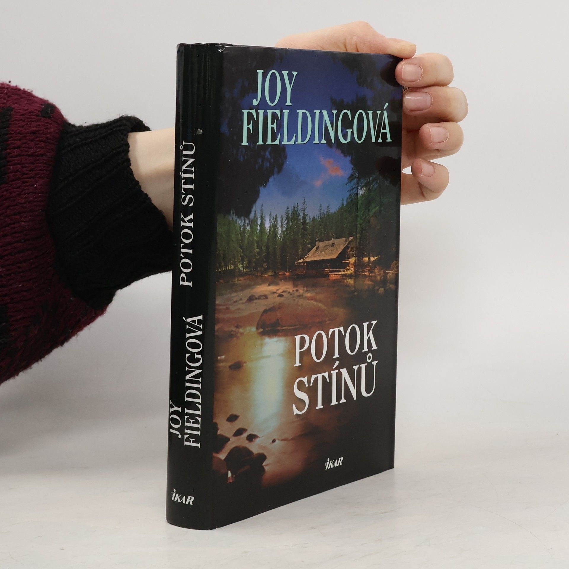 Joy Fielding Potok stínů