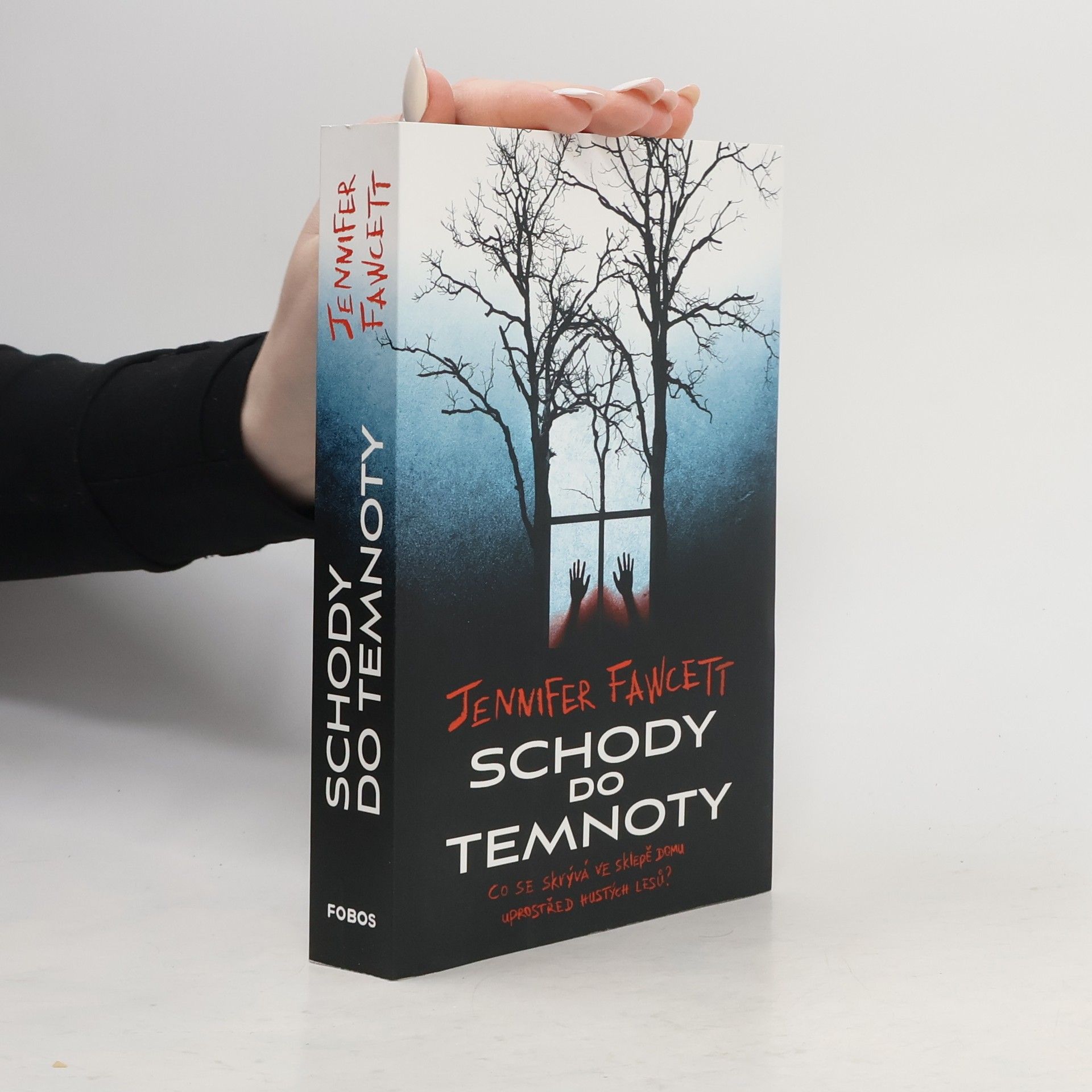 Jennifer Fawcett Schody do temnoty