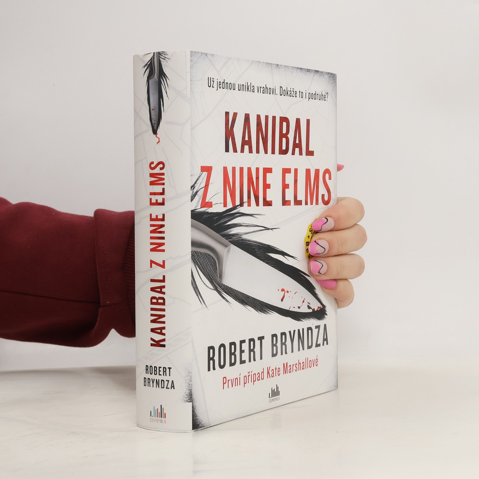 Robert Bryndza Kanibal z Nine Elms