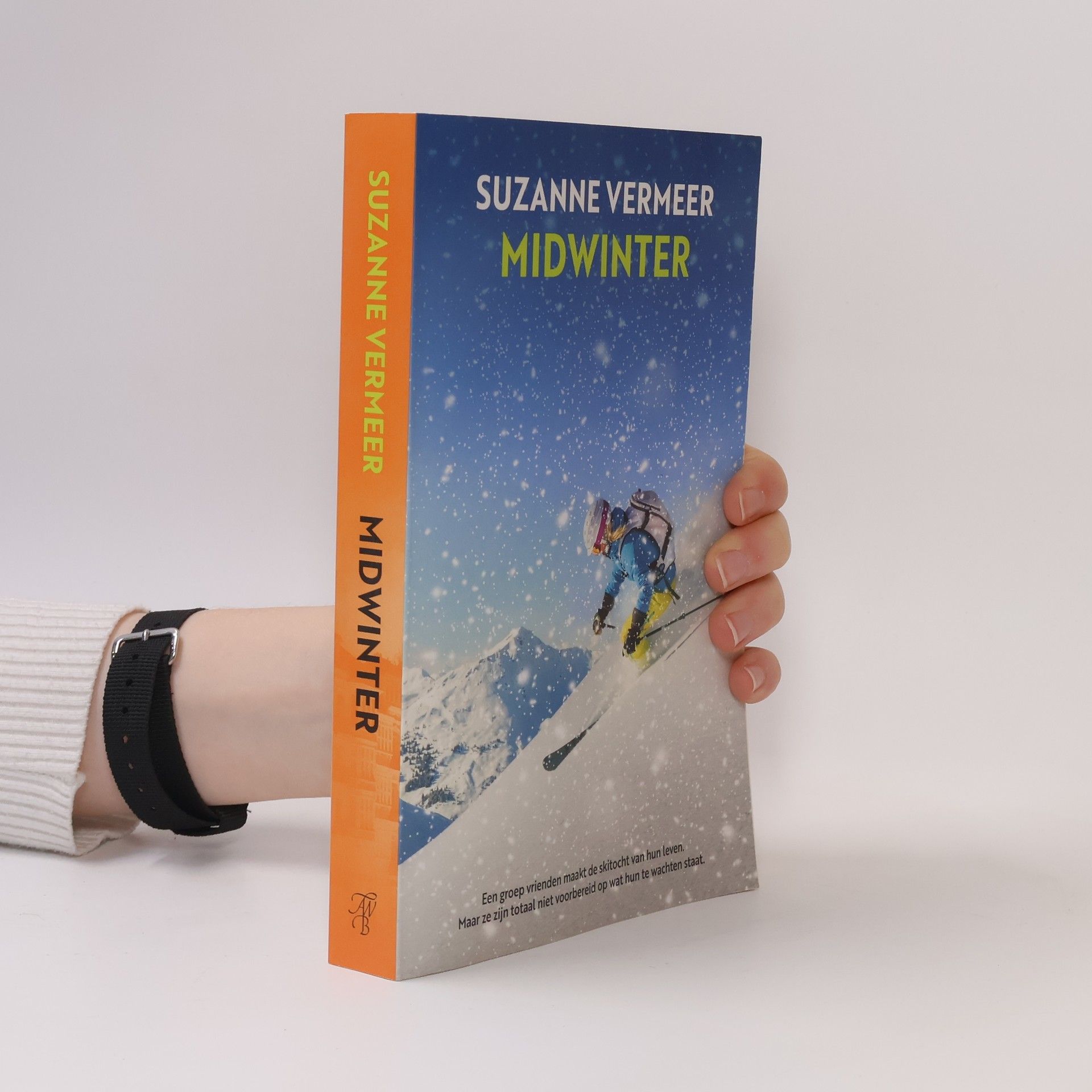 Suzanne Vermeer Midwinter